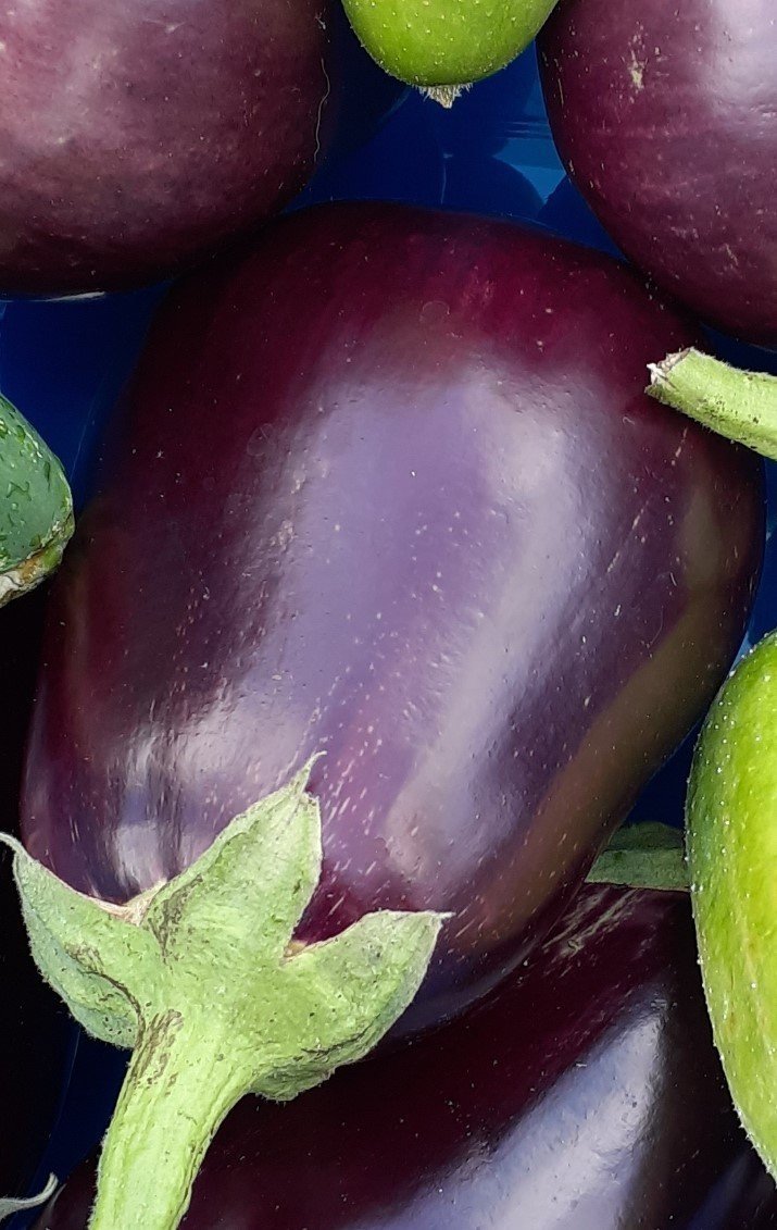 eggplant.jpg
