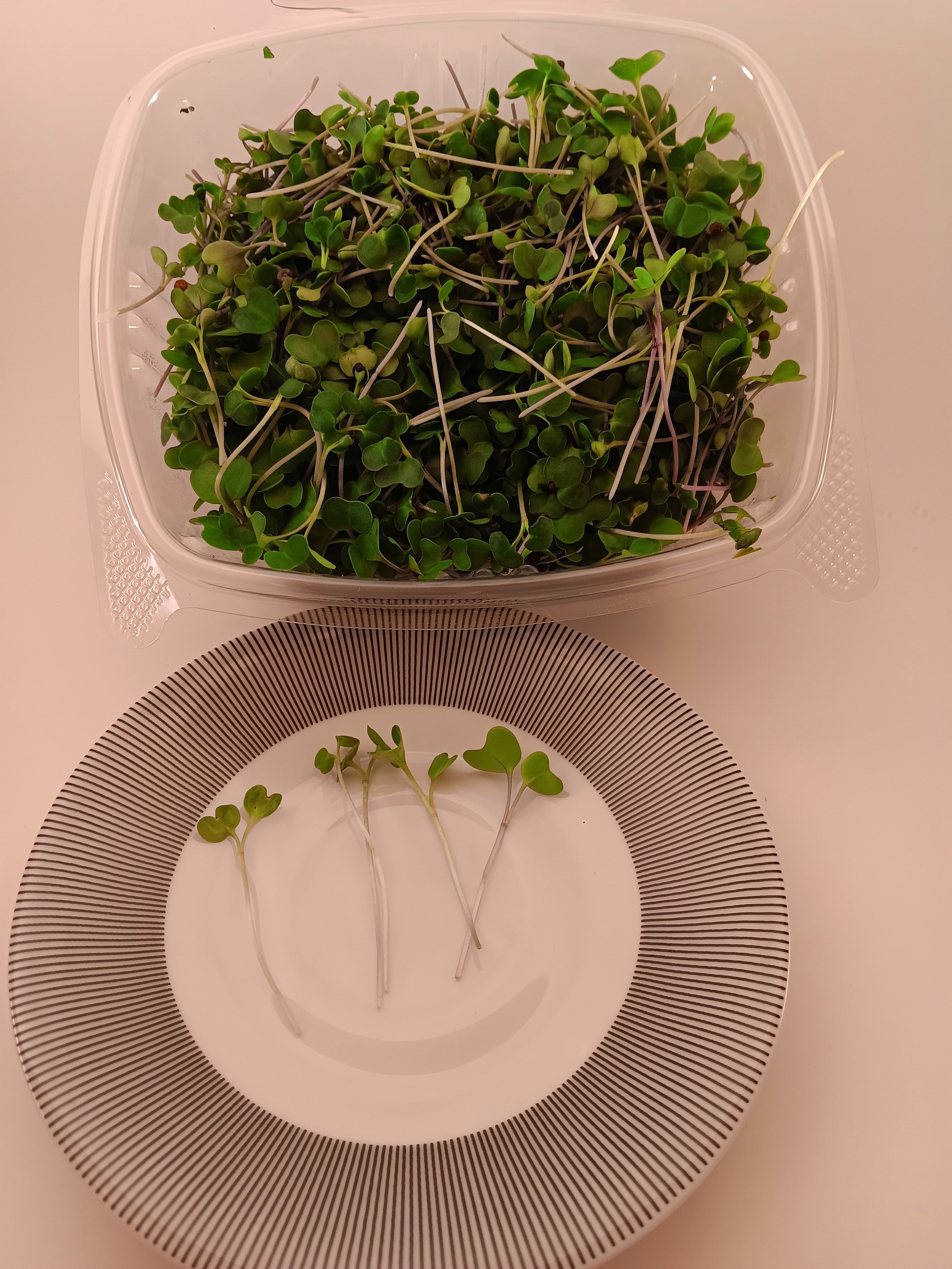 Radish Microgreens 2oz