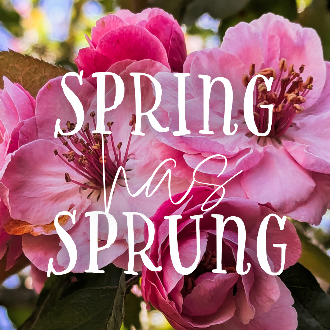 Spring has Sprung