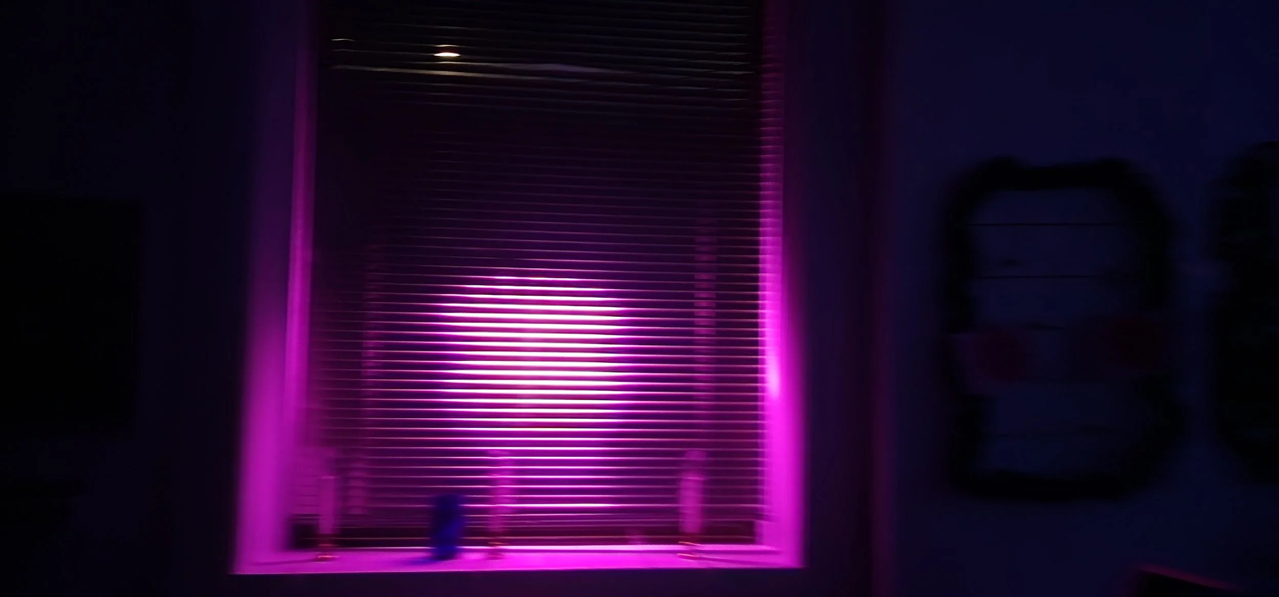 Purple light shining through closed window blinds in a dark room.