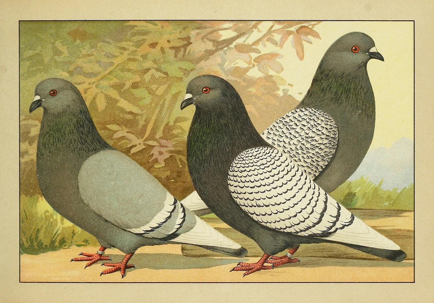 Art Opening: Coo-ney Island