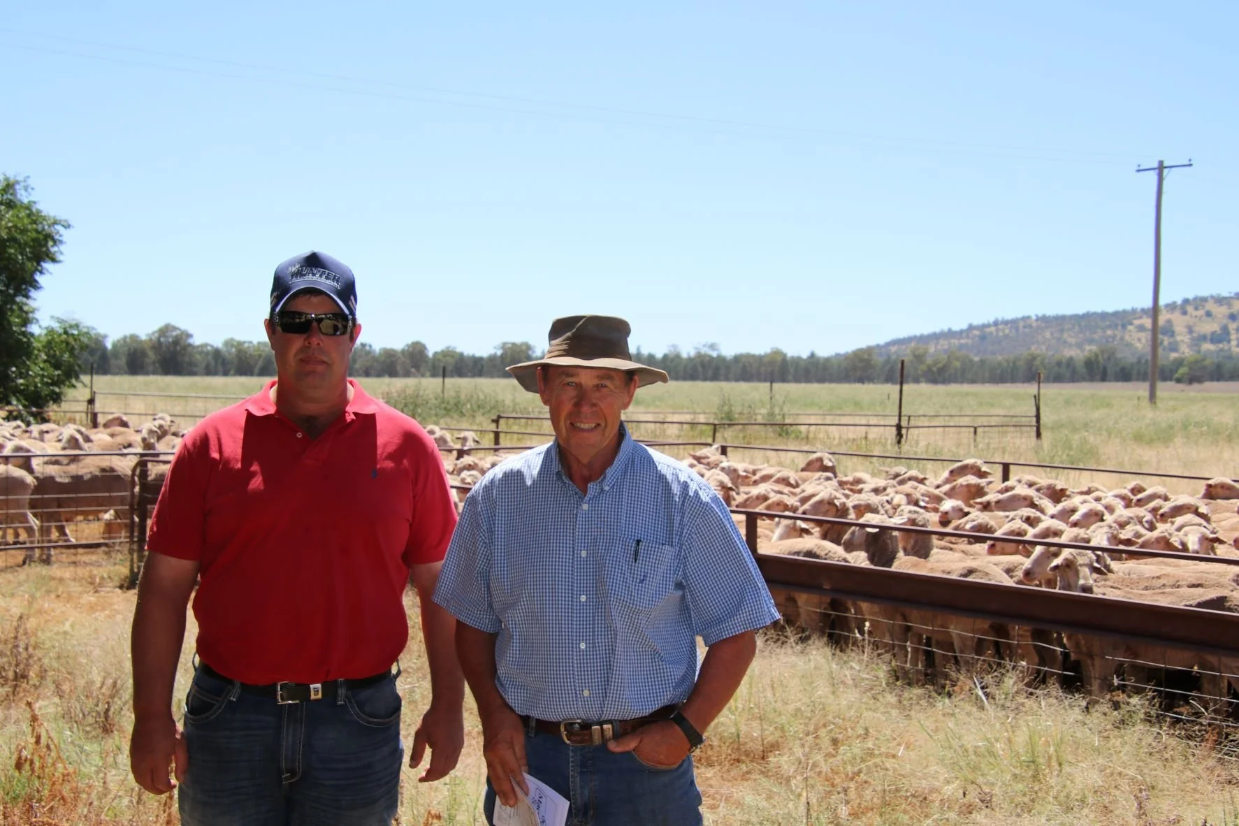 Rocklyn clients produce top Caragabal flock