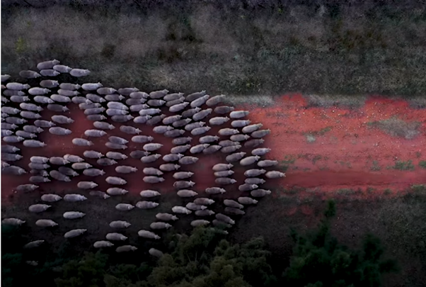 DNA Stimulation Project: Case Study