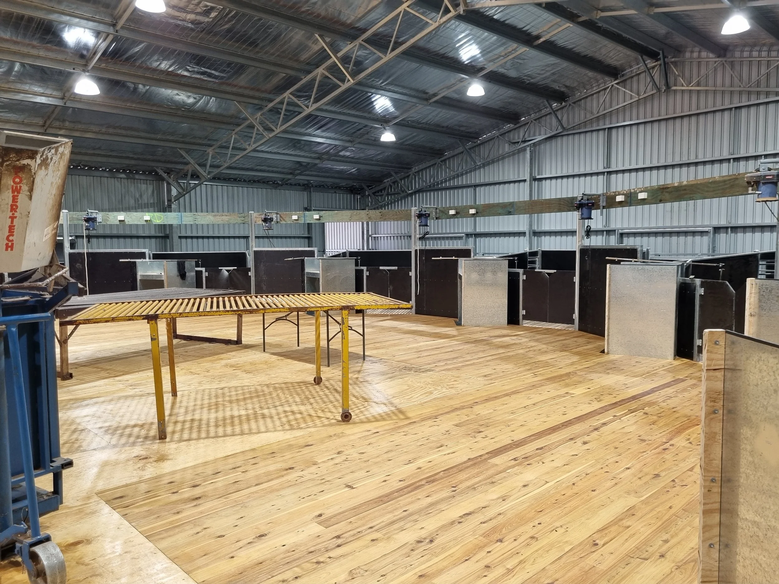 Completion of new Shearing Shed