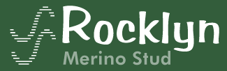 Rocklyn Merino Stud