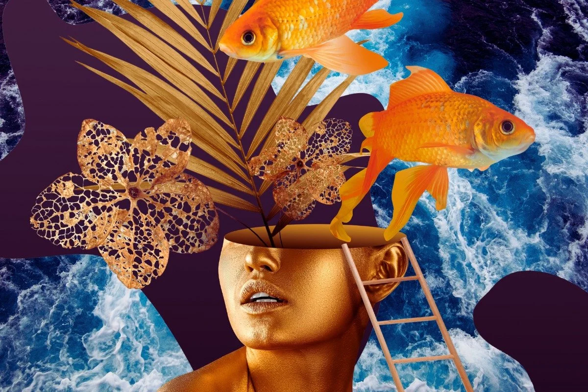 It's going to come as zero surprise to you when I tell you that having a regular creative practice can help you live better.

How?

Aside from the mental health benefits that come with focussed creative time, it&rsquo;s related to the idea that how y