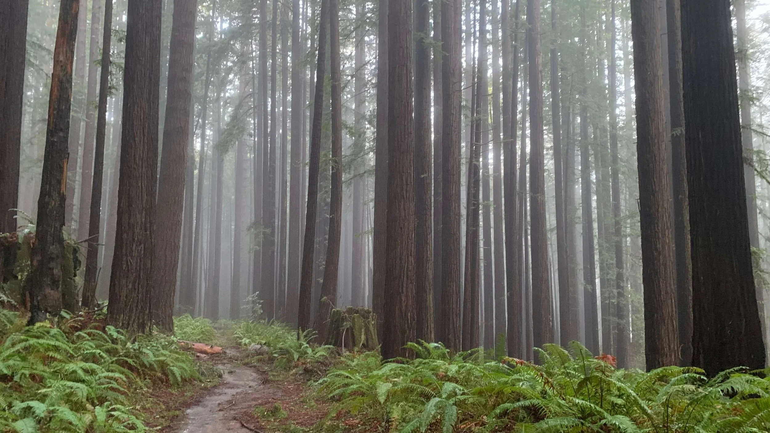 Contact 2 — Gina Hubbell for Board of Directors