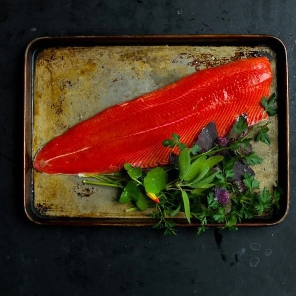 Sockeye Salmon Wild Caught in Bristol Bay, Alaska — Slipstream Sockeye