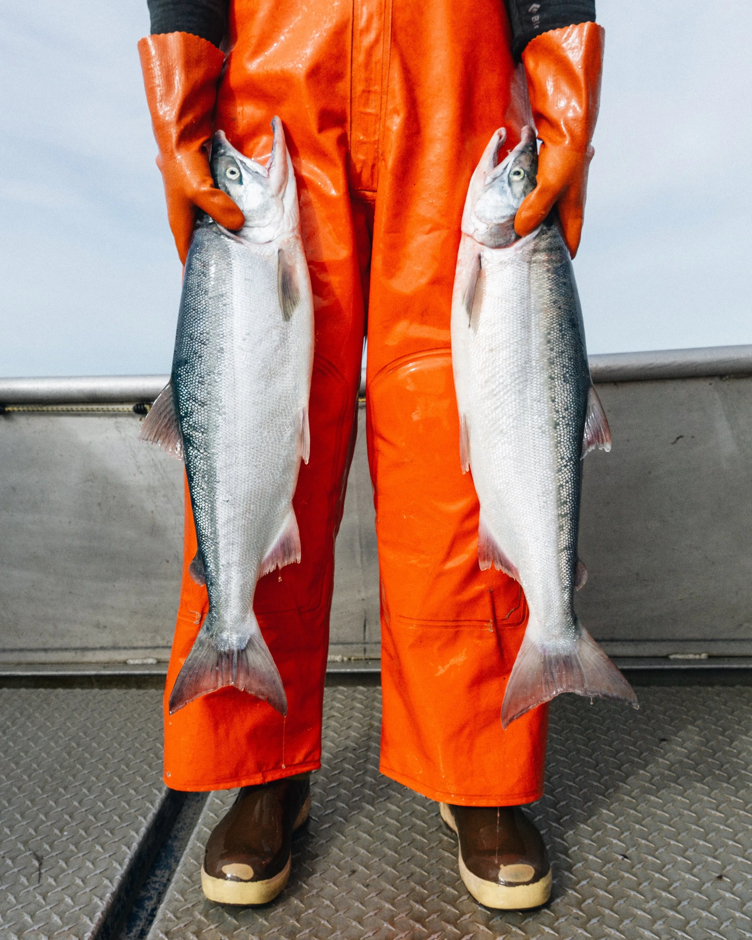 Tales from the Sea — Slipstream Sockeye