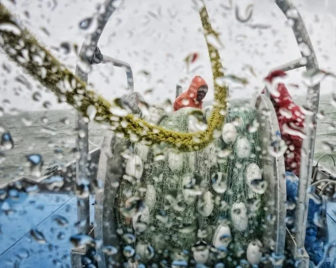 About Bristol Bay's Wild Sockeye Salmon — Slipstream Sockeye