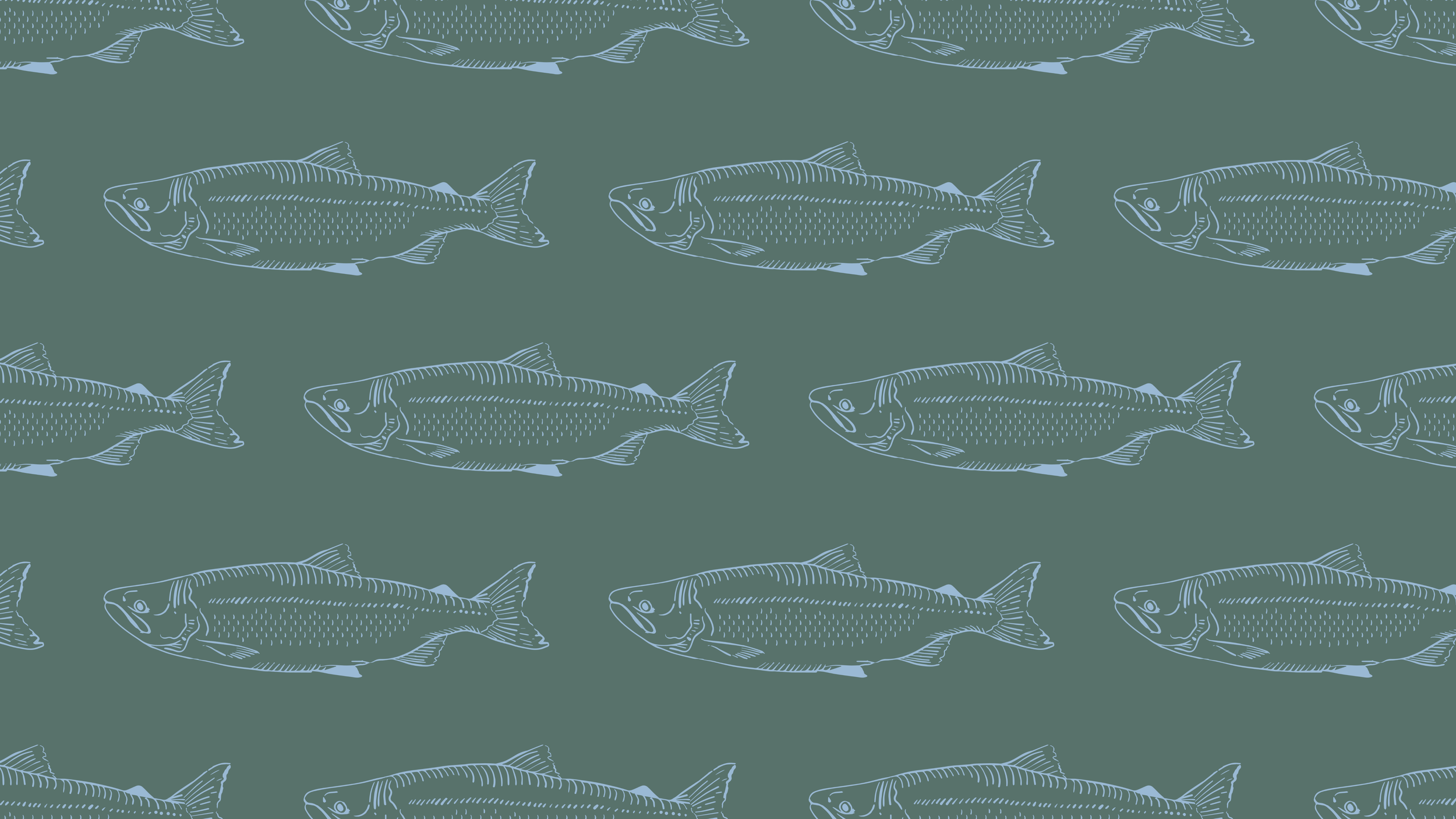 About Bristol Bay's Wild Sockeye Salmon — Slipstream Sockeye