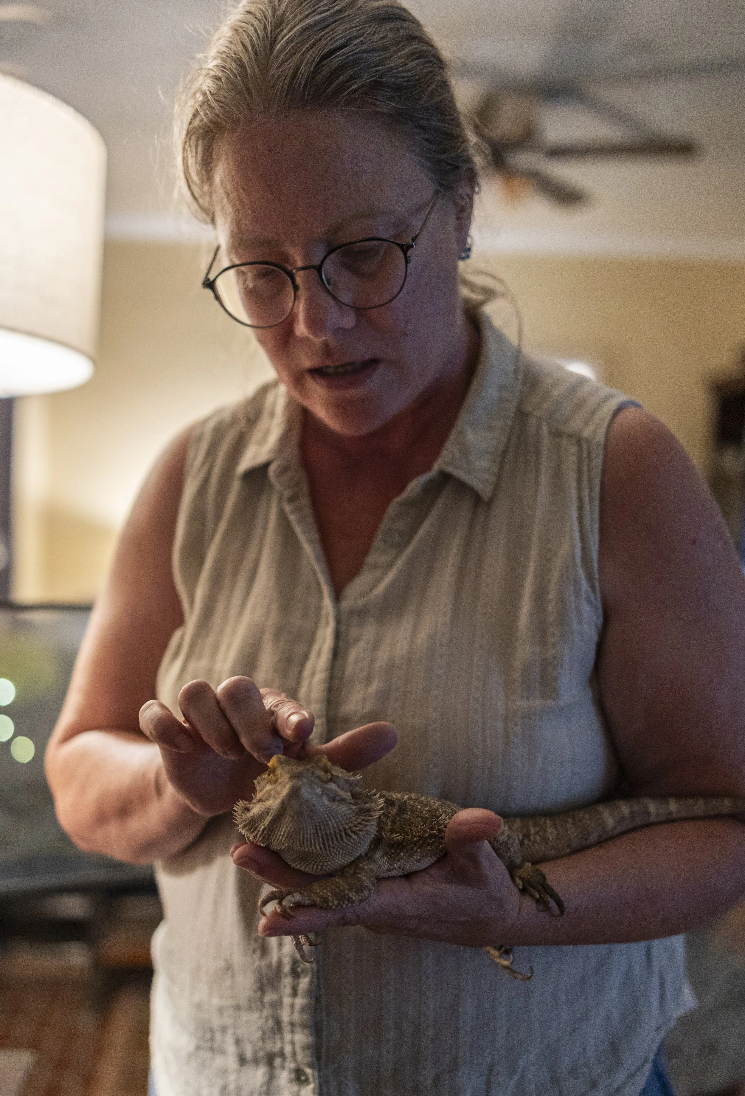 Lisa Heinz holds and pets one of her bearded dragons in the living room of her home in Athens, Ohio, September 4, 2025. Heinz owns two bearded dragons, a crested gecko, and multiple birds, and her dog Loki, all of whom are rescues.