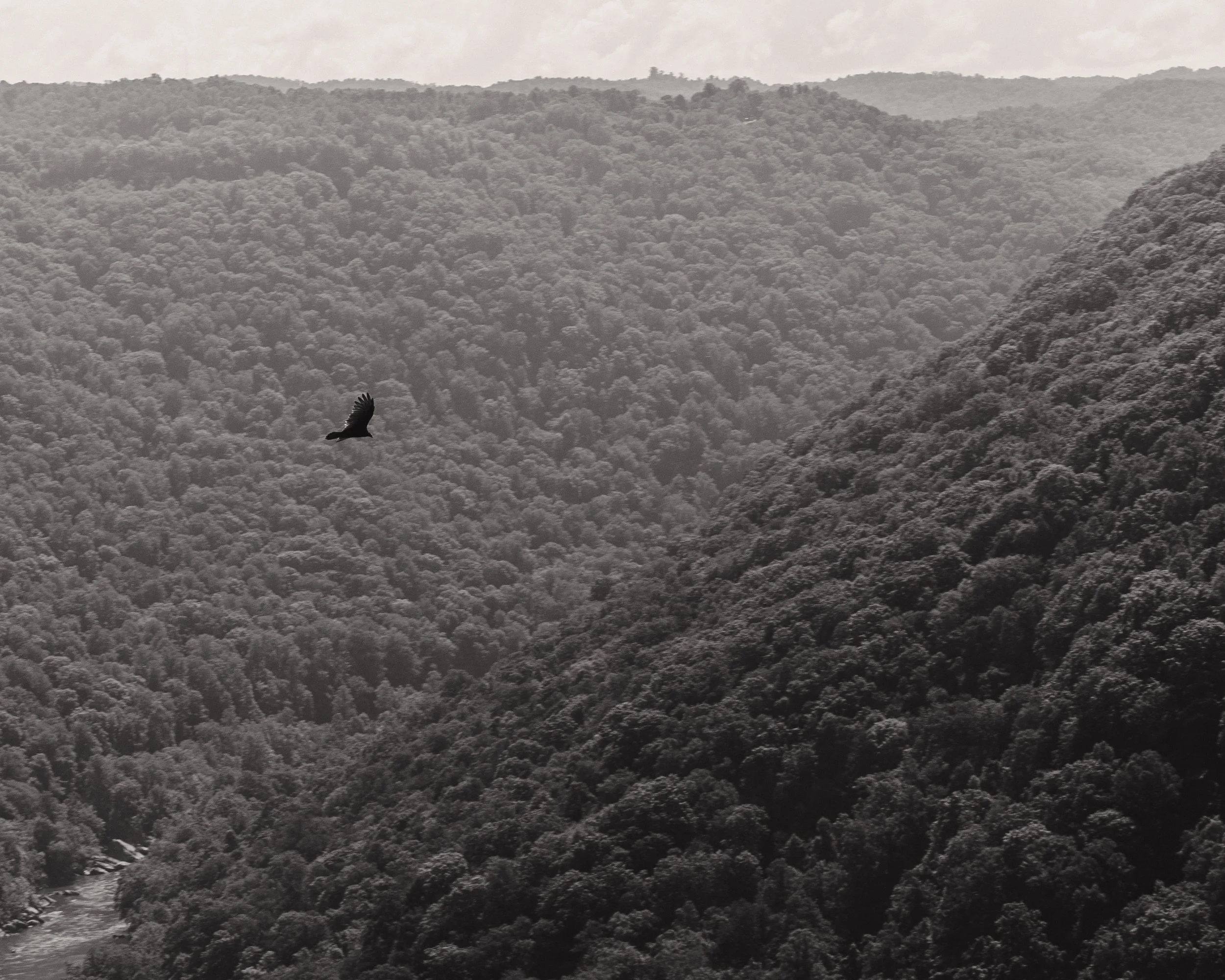 New River Gorge, West Virginia