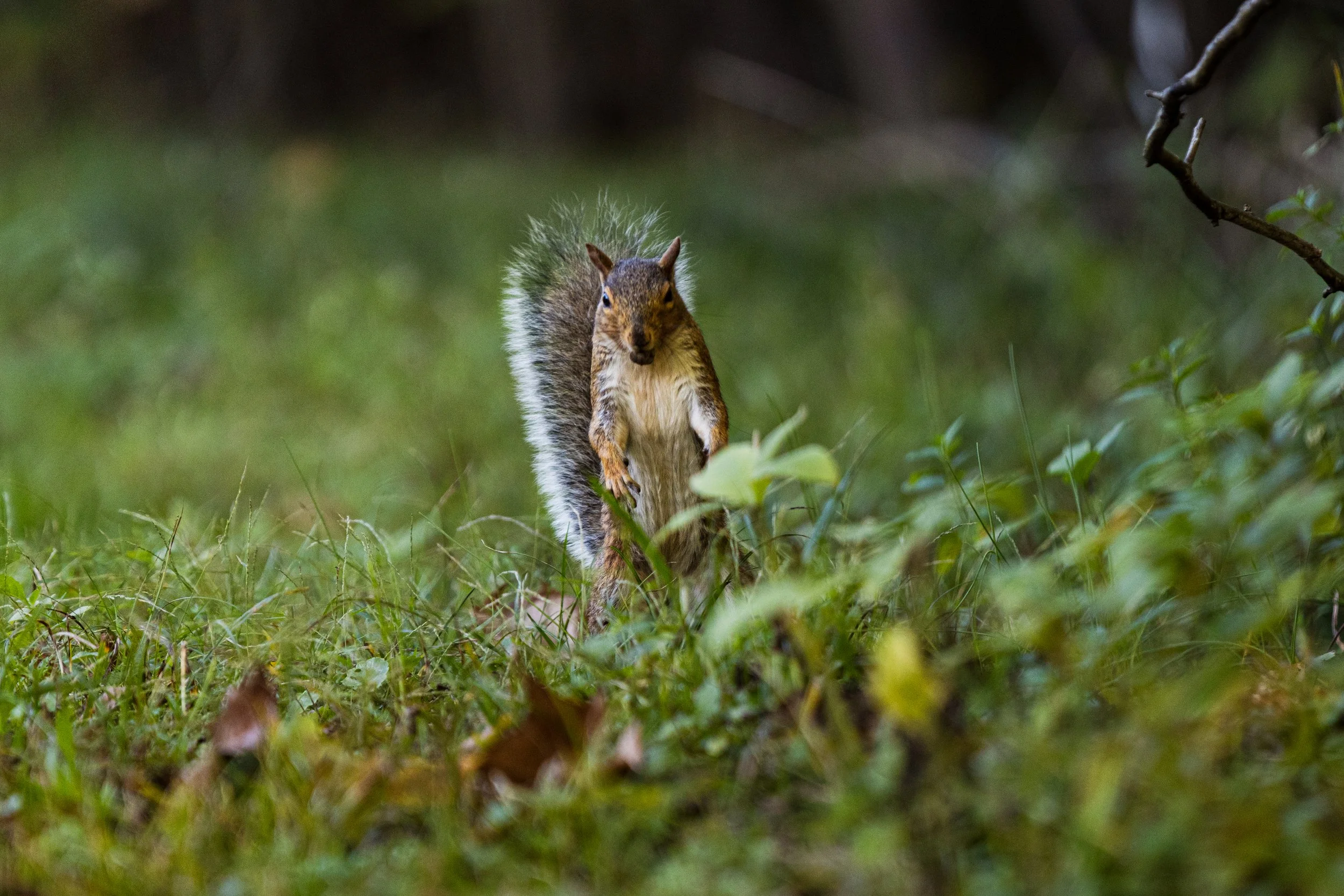 Emeriti Park, Athens, Ohio