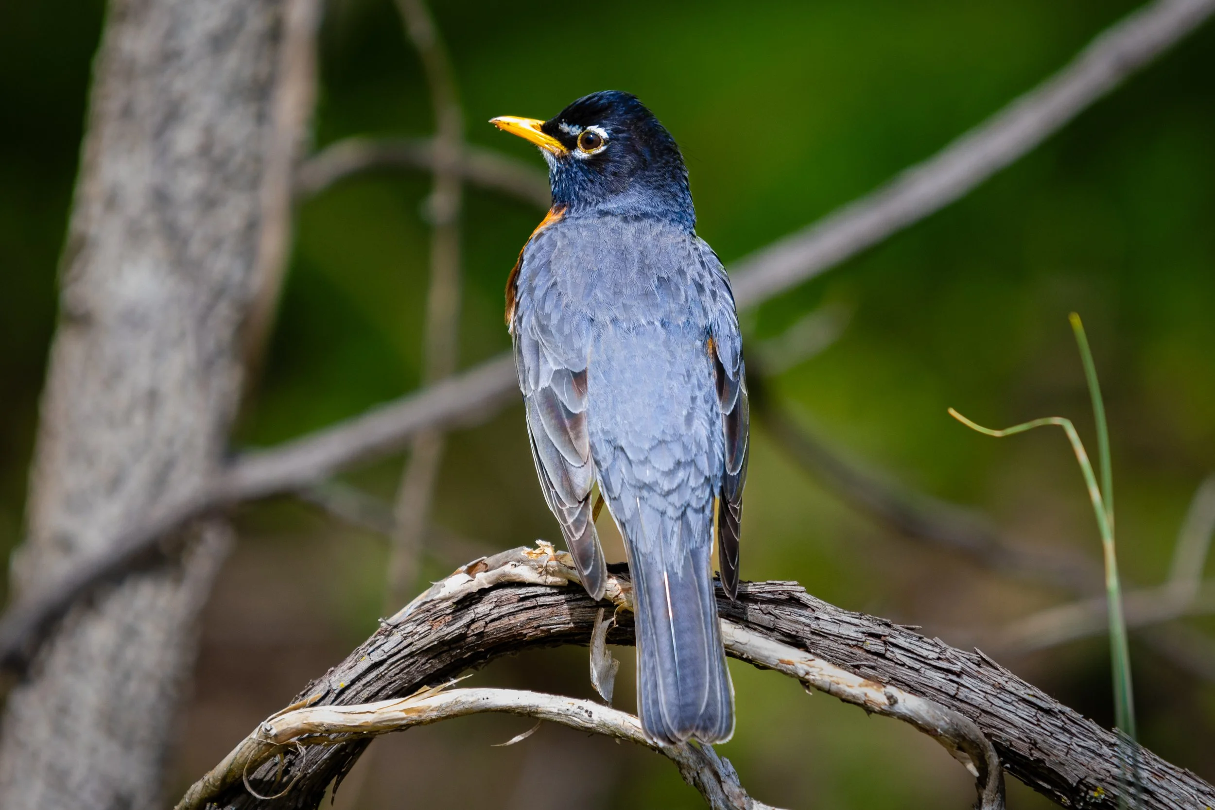 Emeriti Park, Athens, Ohio