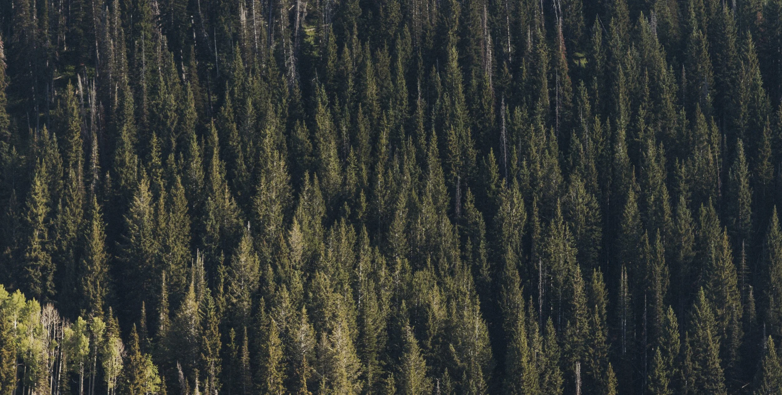 Park City, Utah