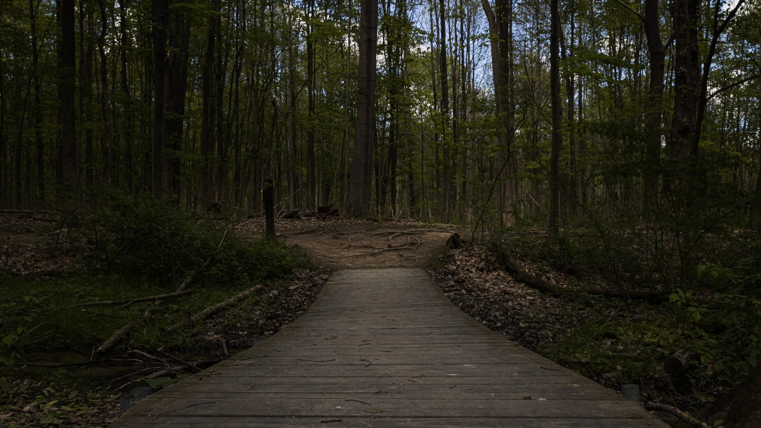 Liberty Park, Twinsburg, Ohio