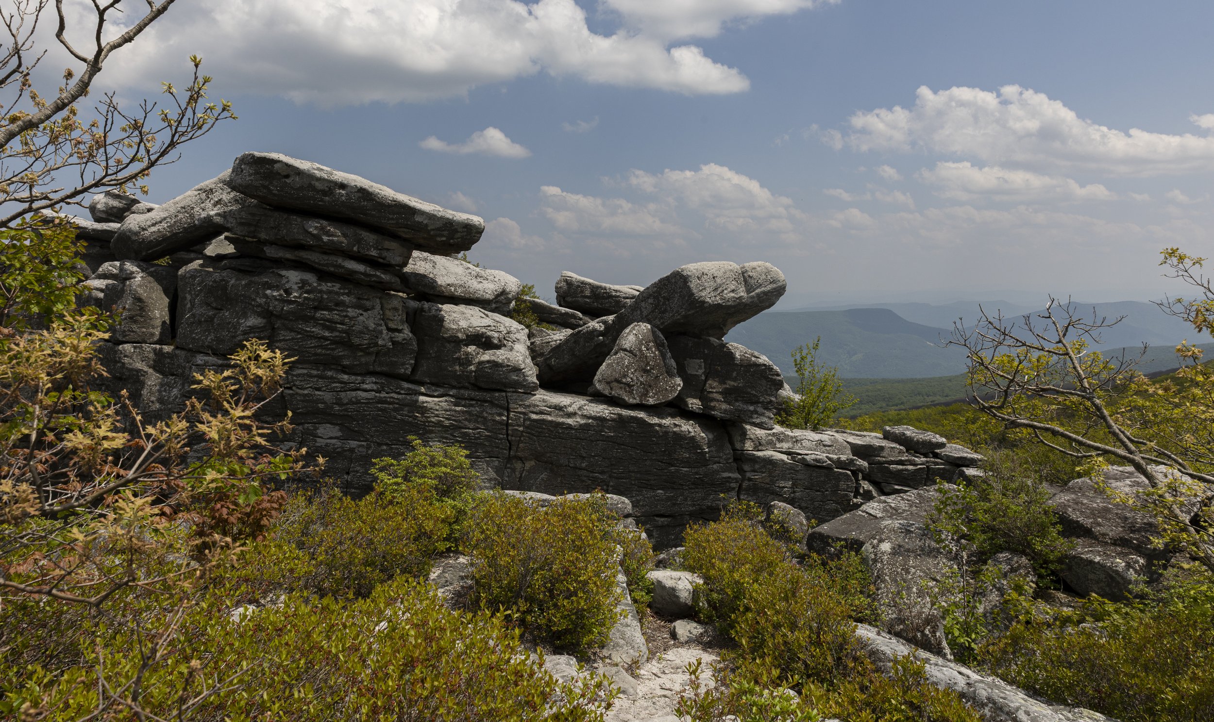 Dolly Sods, West Virginia