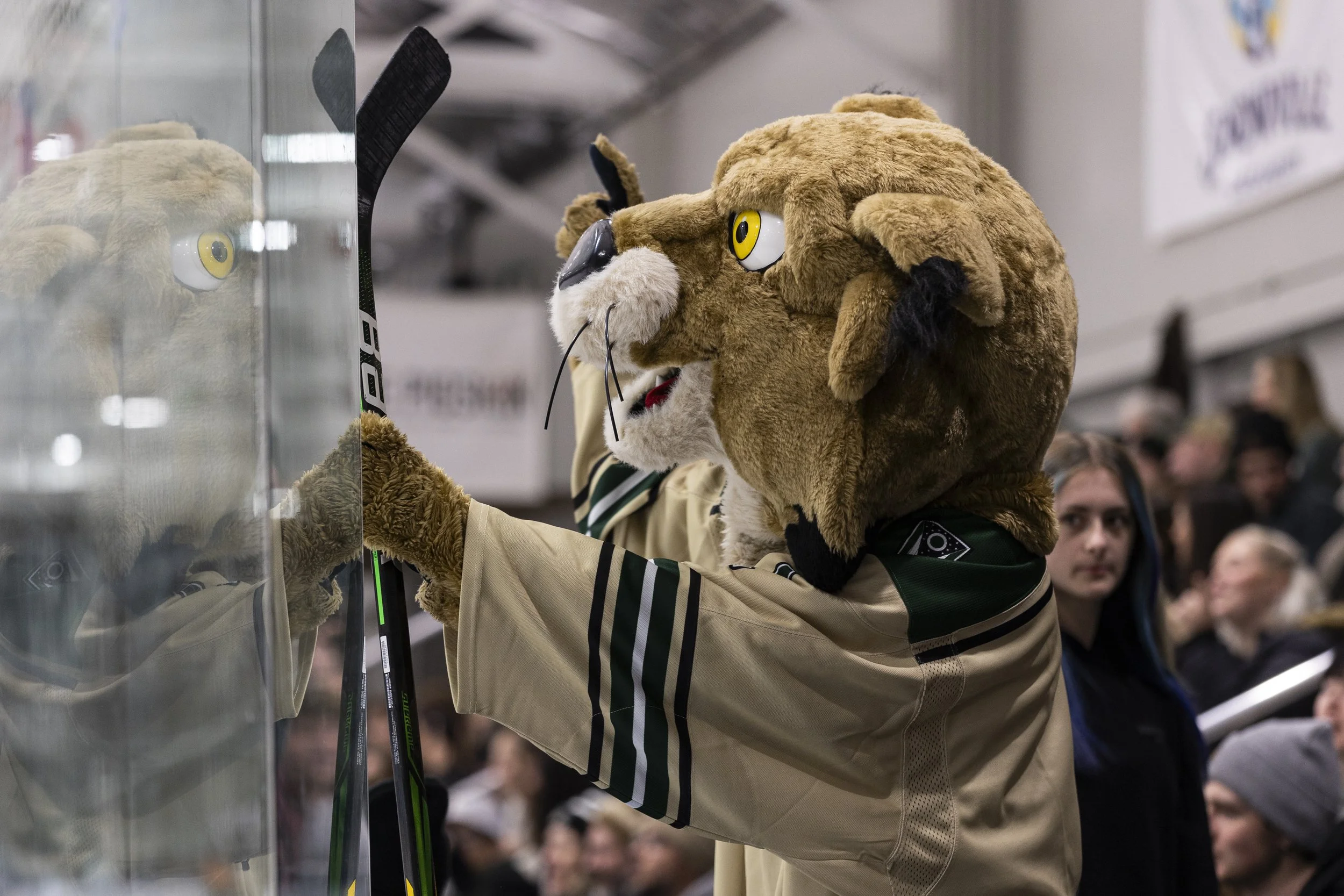 Rufus the Bobcat watches through the glass during Ohio University's game against Canisius University at Bird Arena in Athens, Ohio, Feb. 6, 2026.