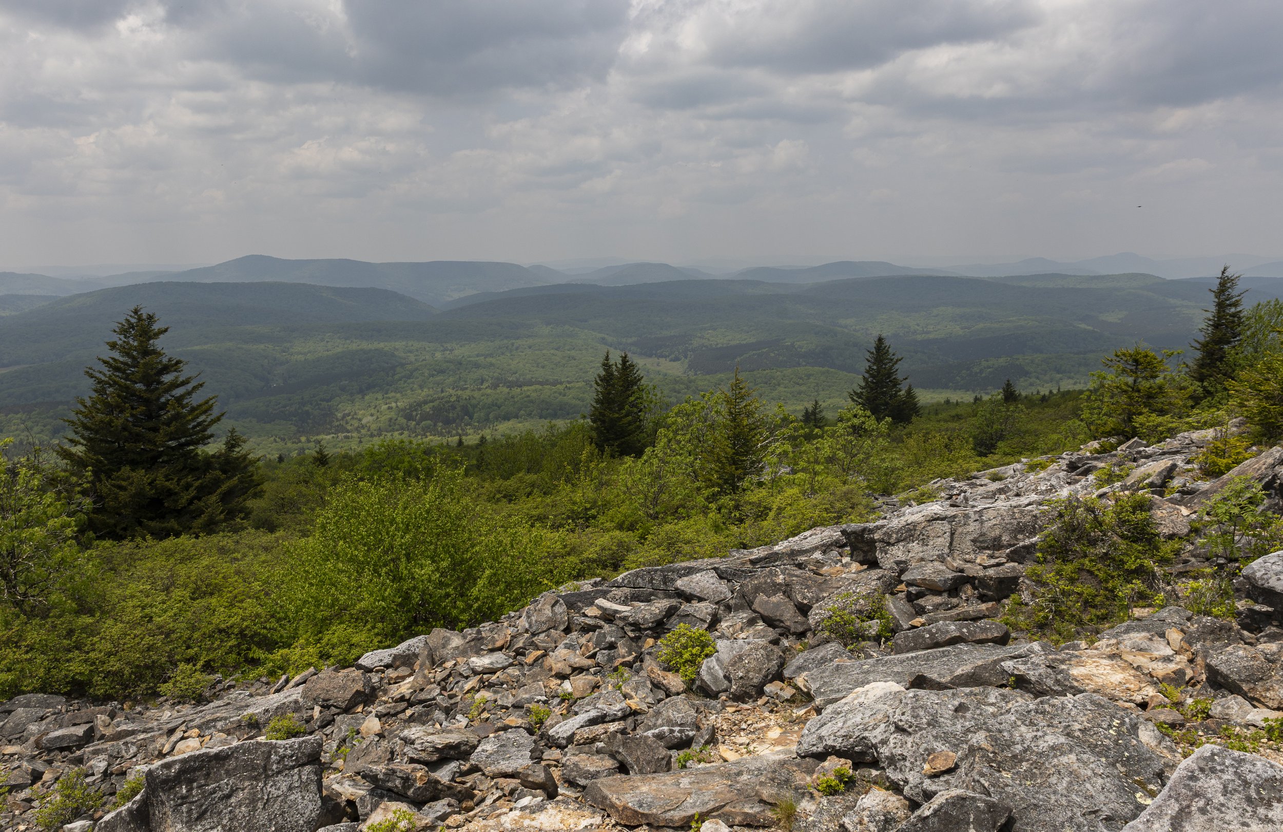 Spruce Knob, West Virginia