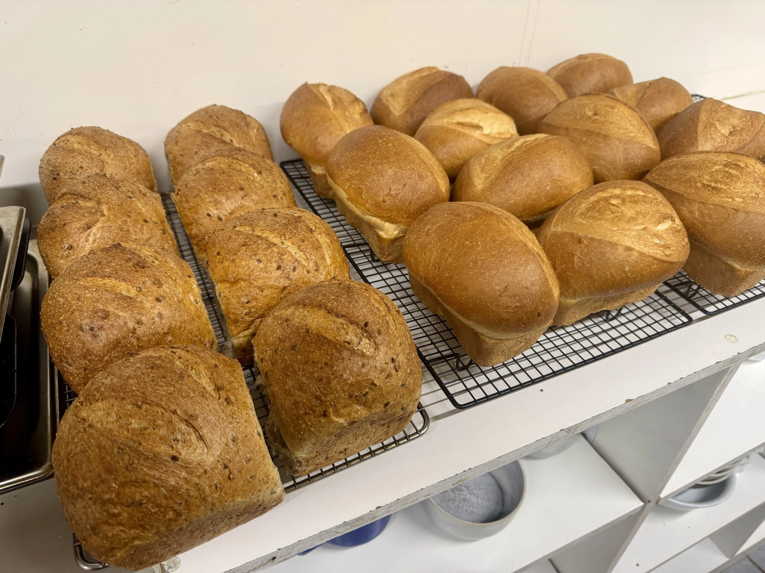 Fresh Bread Baked In House