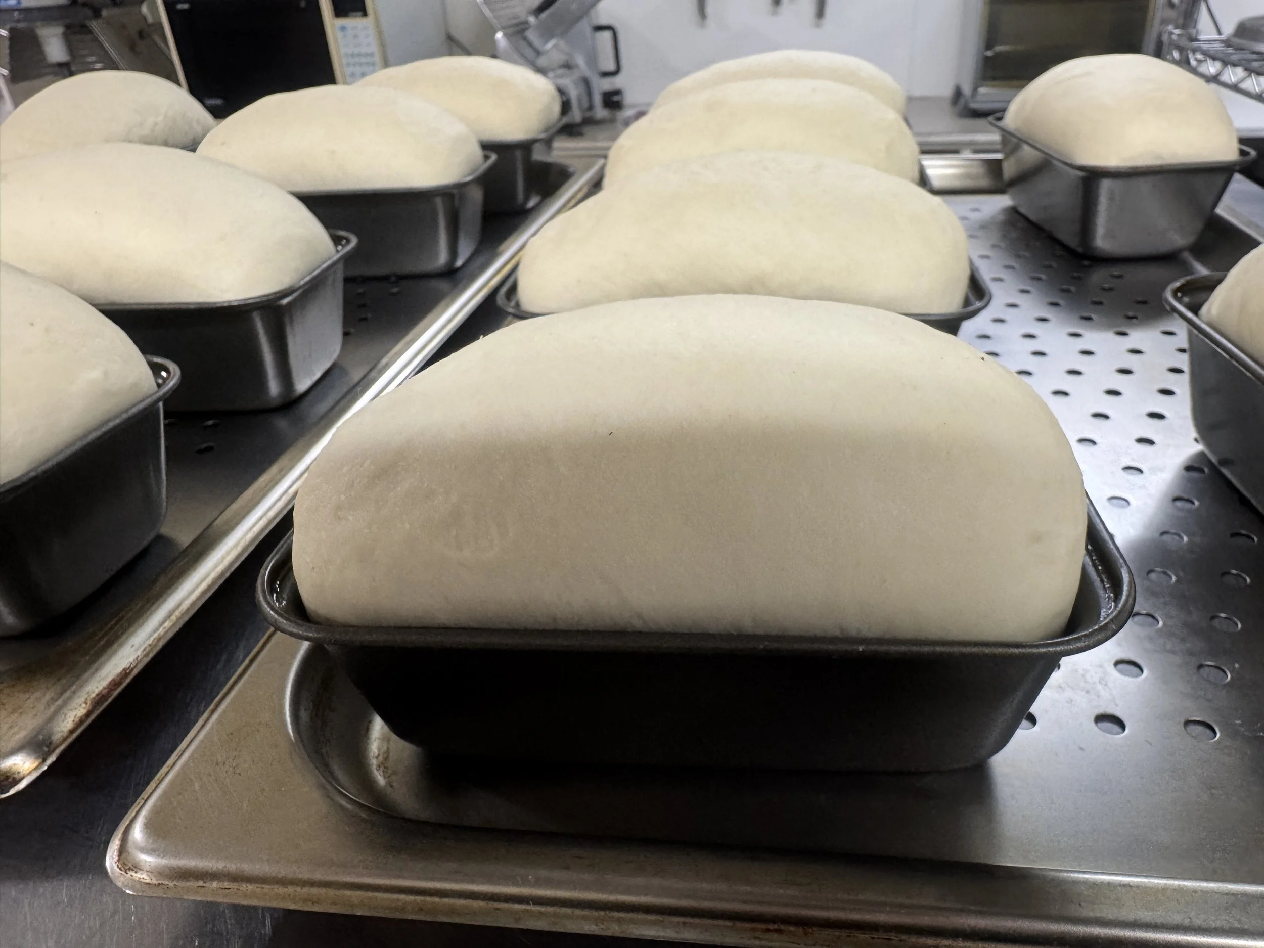 Bread Proofing