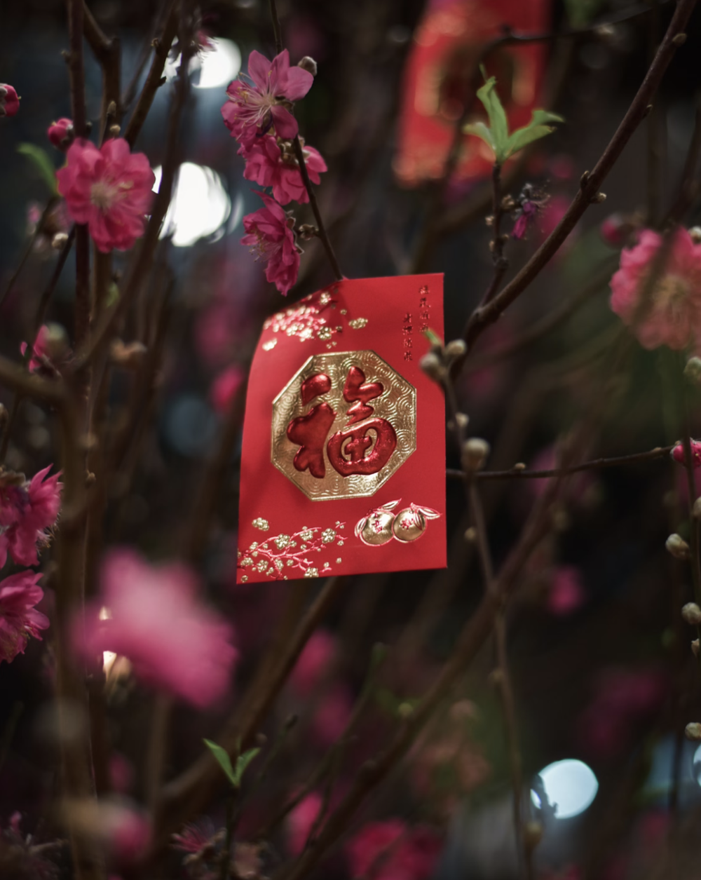 Lunar new year decorations