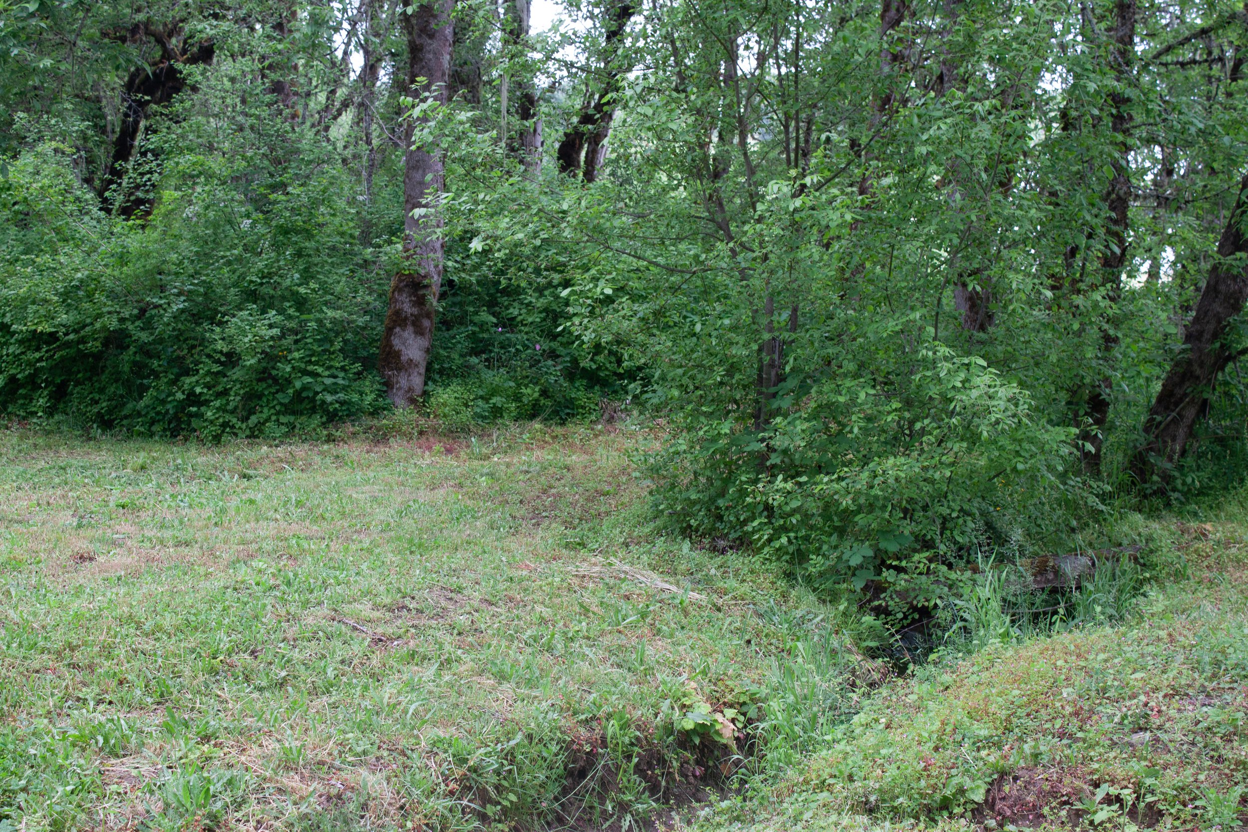 IMG_2436.jpg