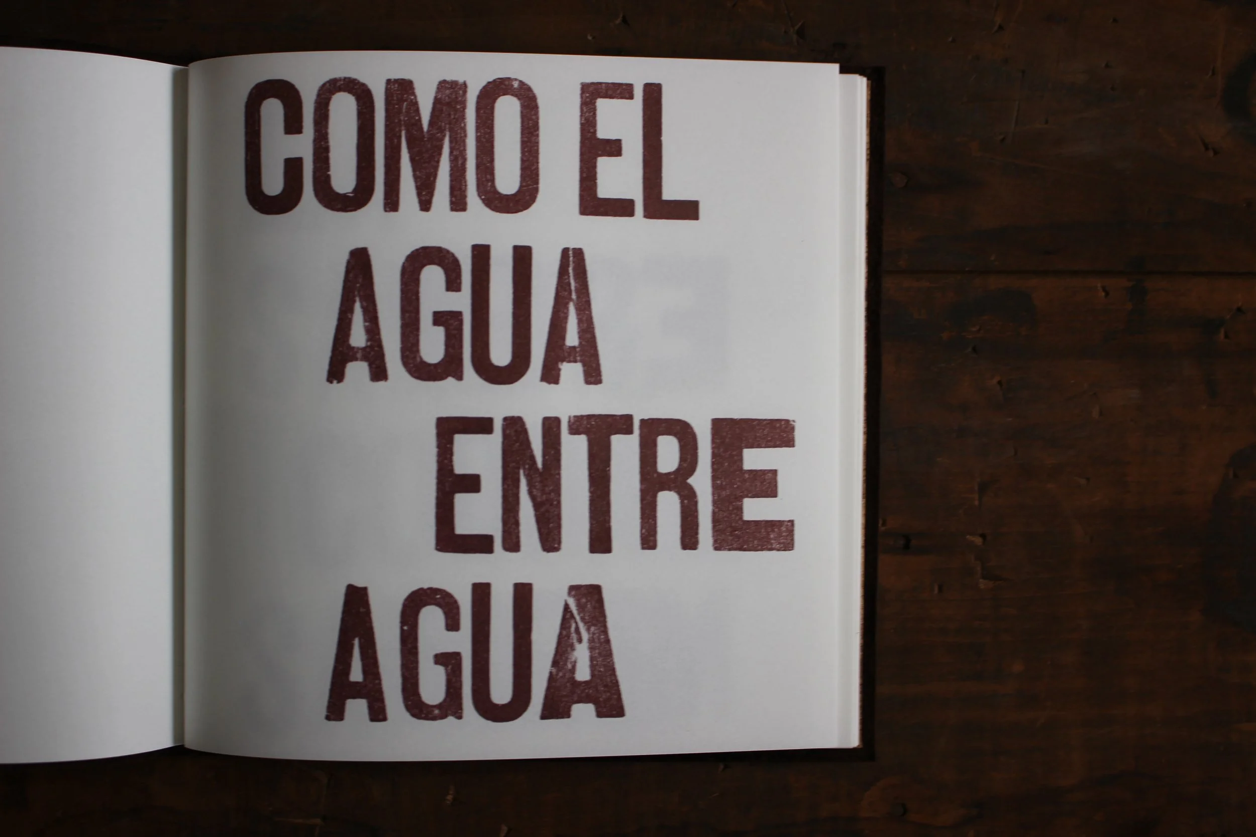 algunas de nuestras partes.JPG