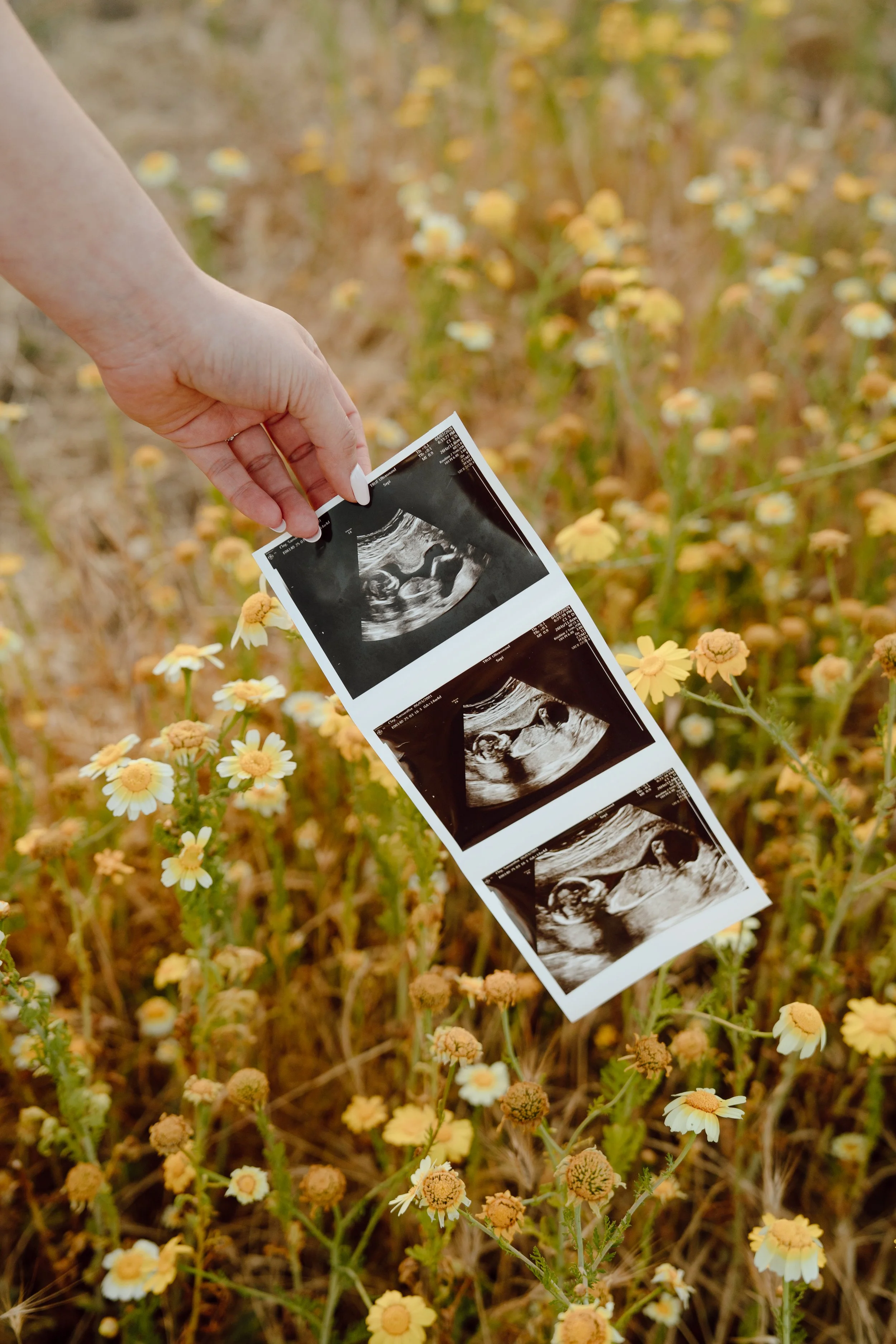 Clay Maternity-32.jpg