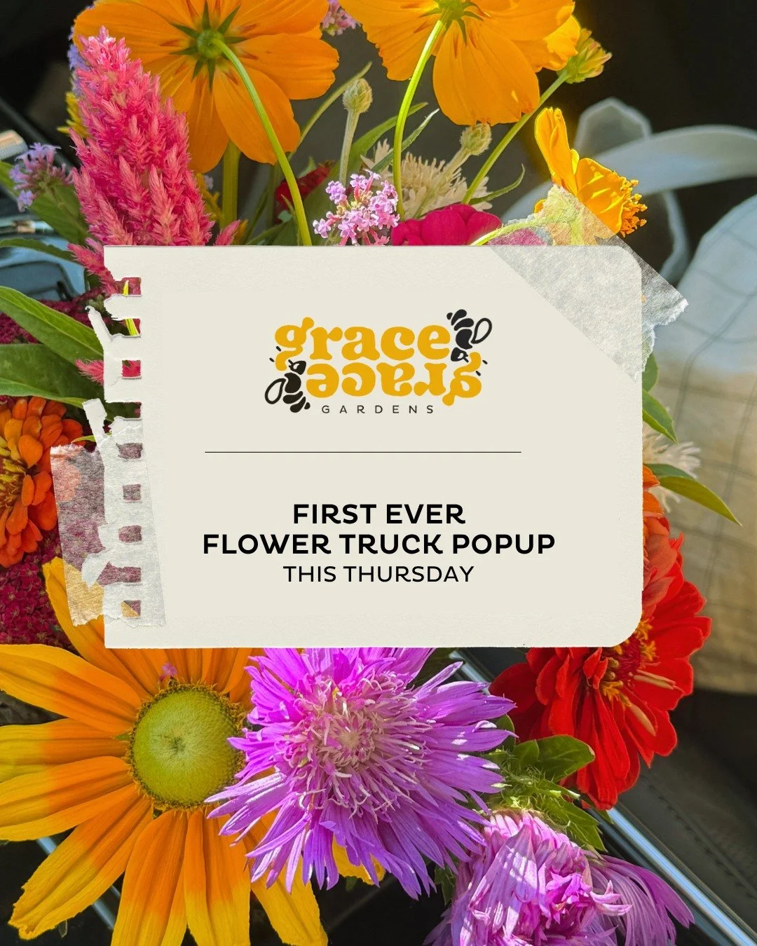 It's our very first pop-up: a limited number of pre-made bright summer bunches, $15 each, while they last. (Build-your-own bouquets are coming in a future round!)

Come find the truck.
🌻 Thursday, 3:30&ndash;6:30pm or until sold out.
📍 8305 Lewis D