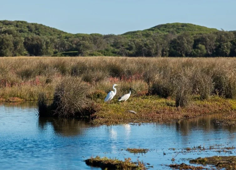 Mouth of Powlett River