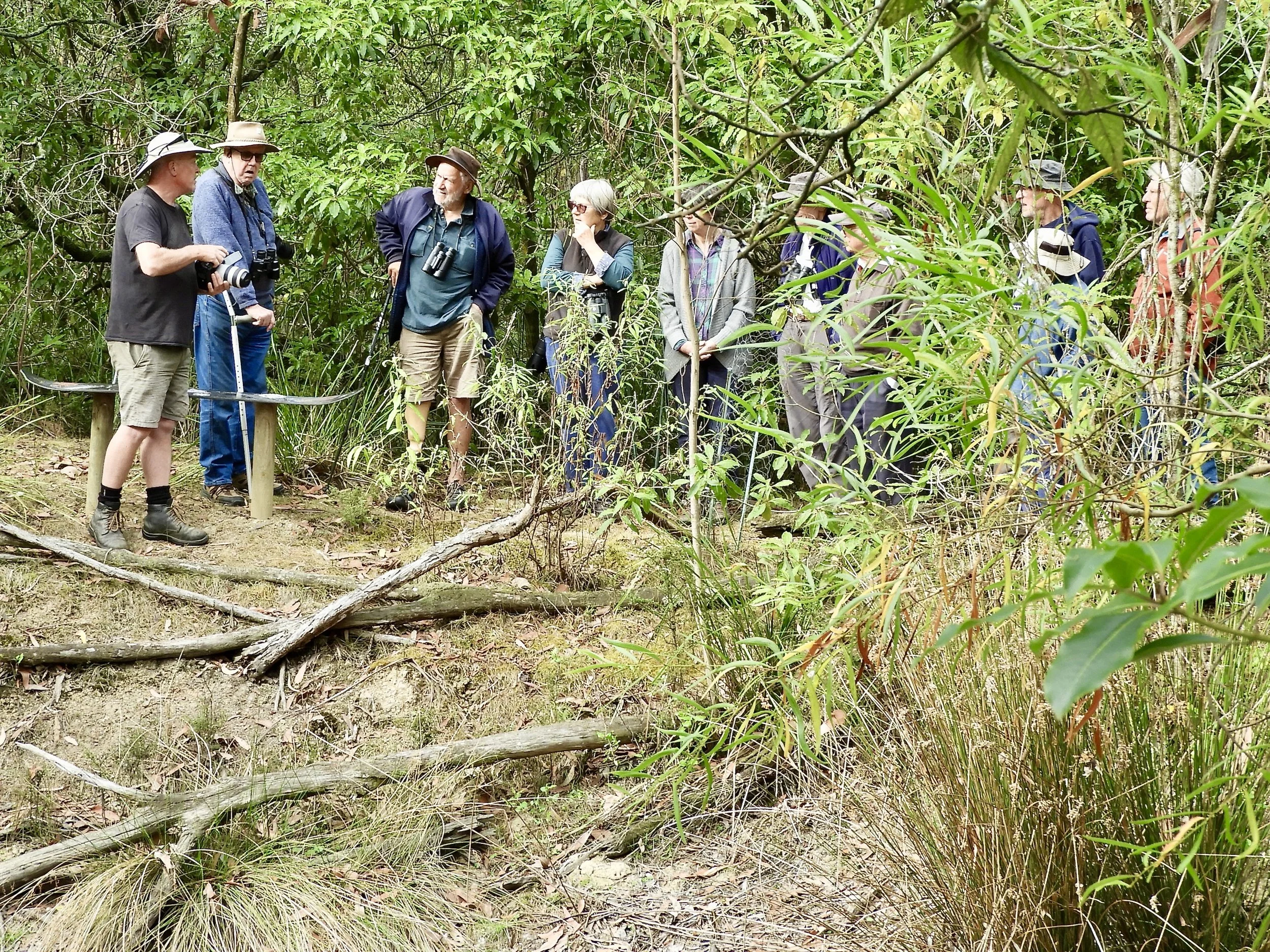 Morwell National Park