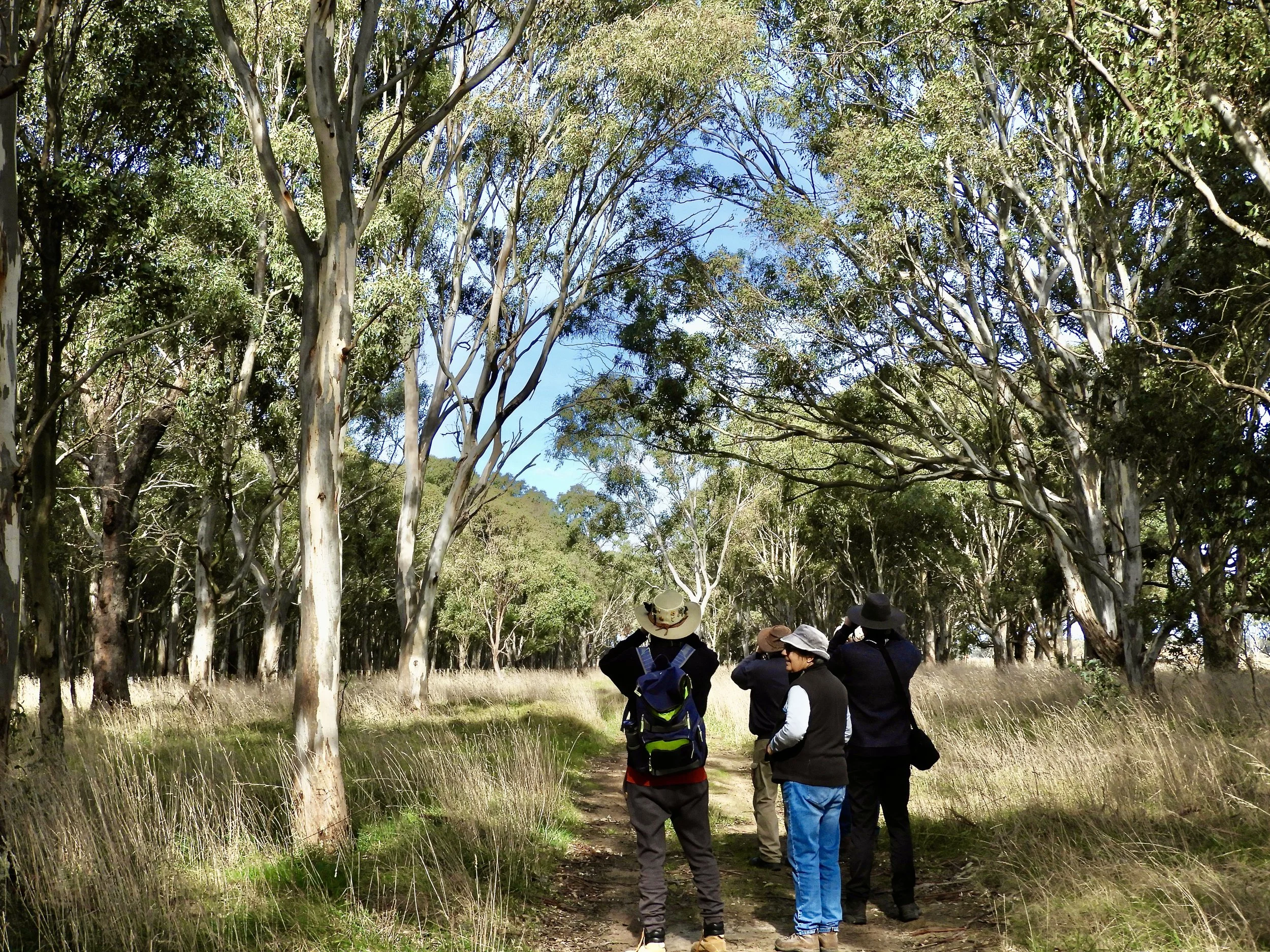 Glengarry &amp; Toongabbie
