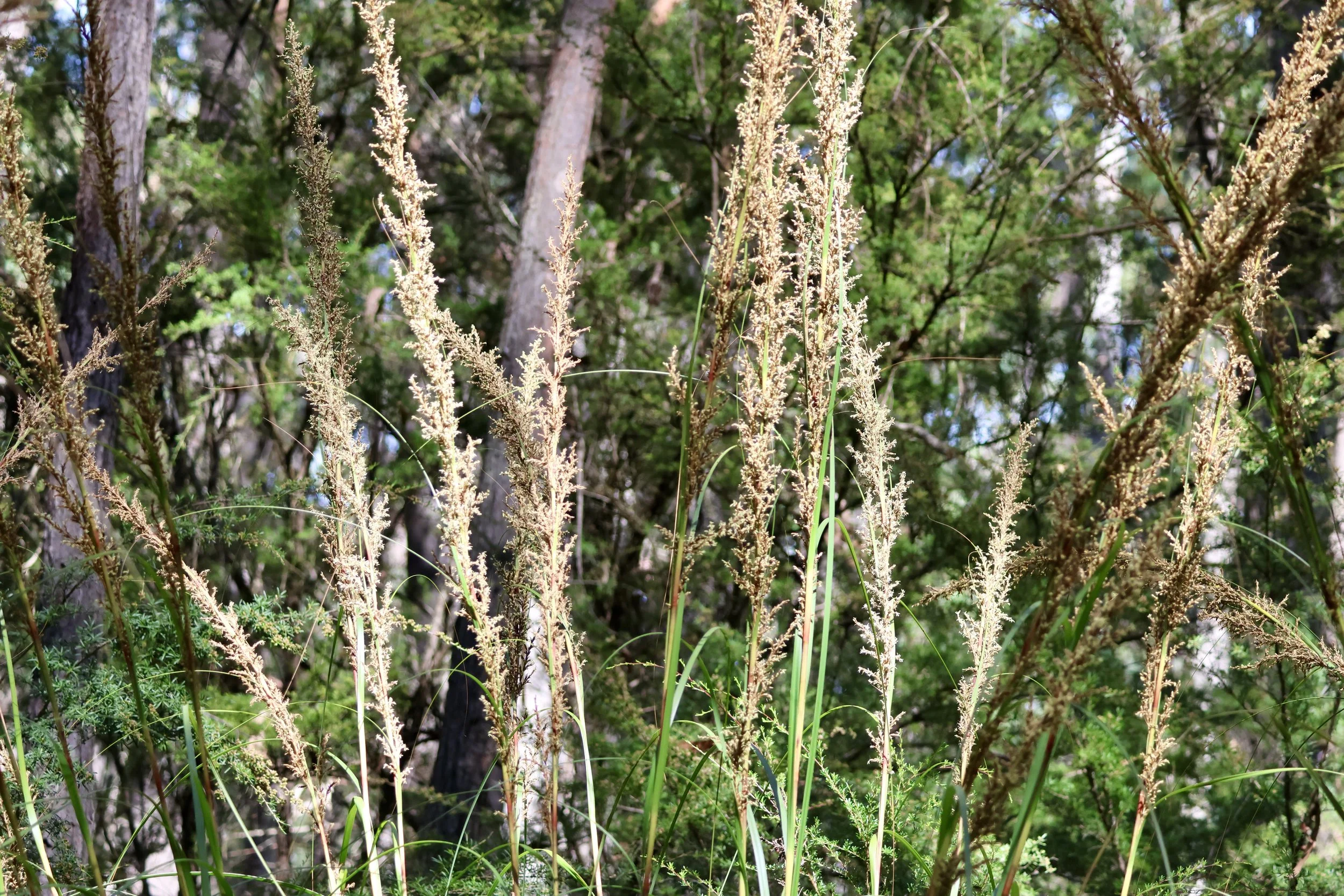 AGM &amp; Speaker TBC