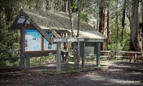 Billys Creek, Morwell National Park