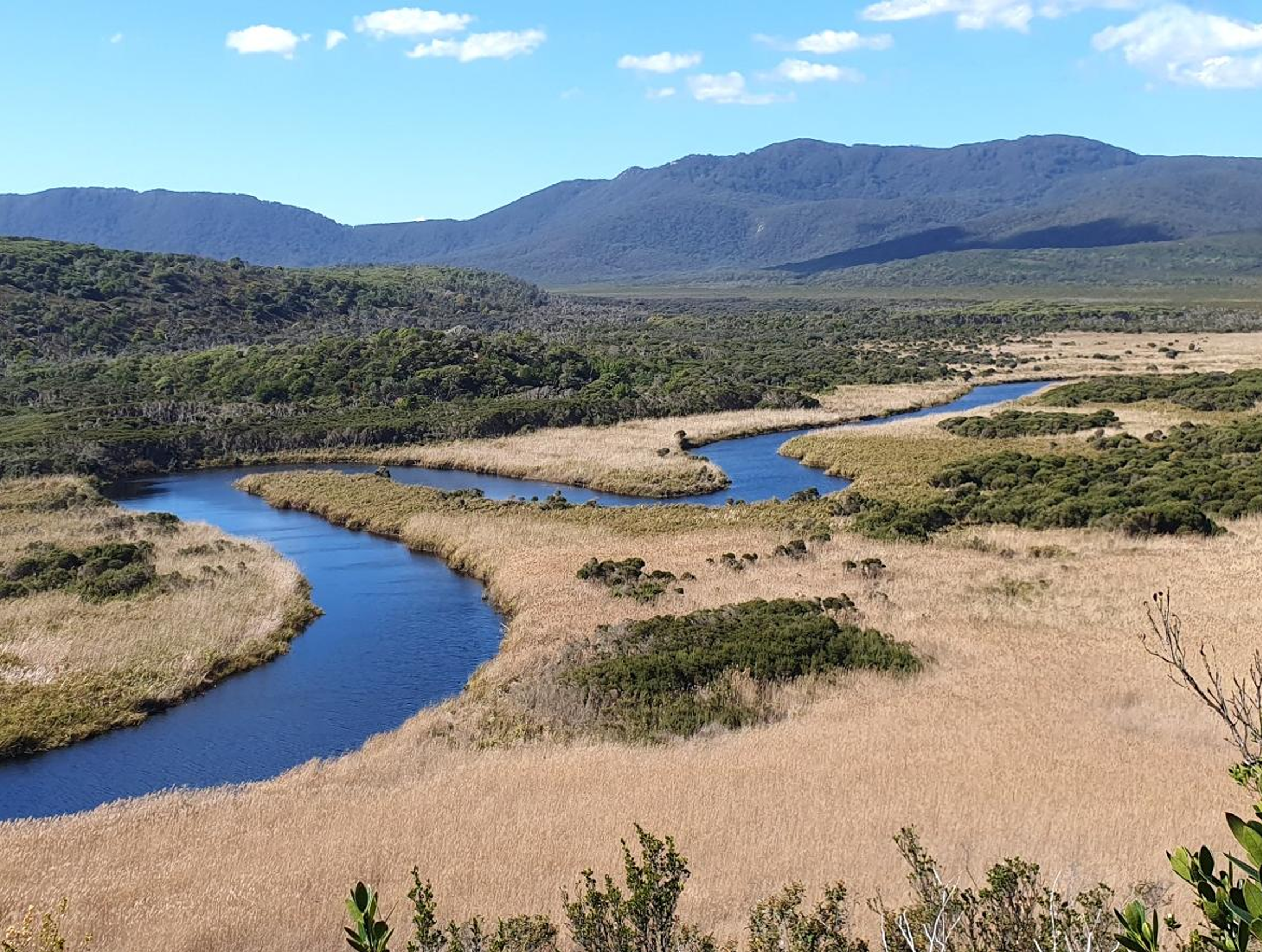 January - February 2026