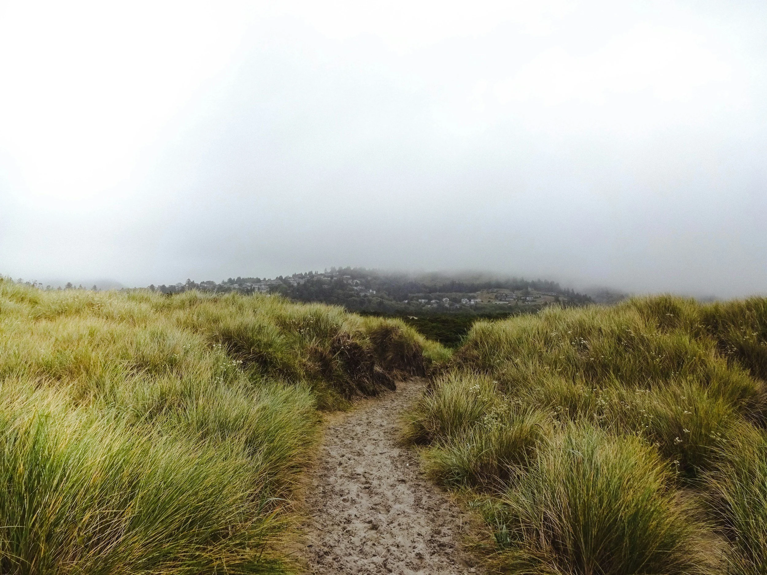 A quiet path representing making decisions based on your values and living more authentically