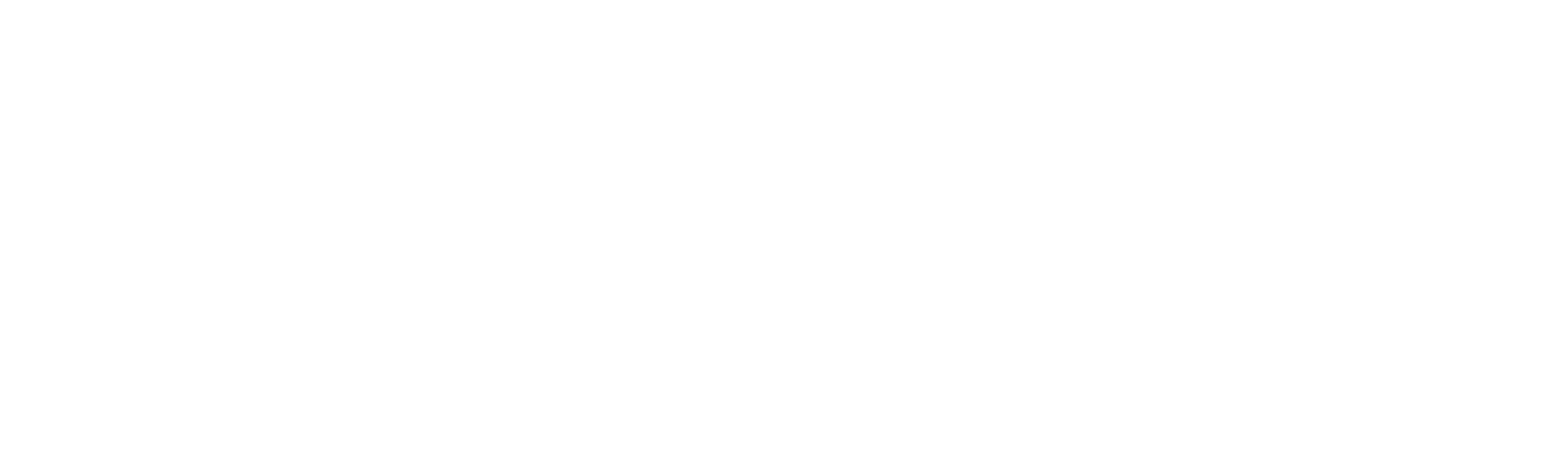Bold logo (white)_1.png