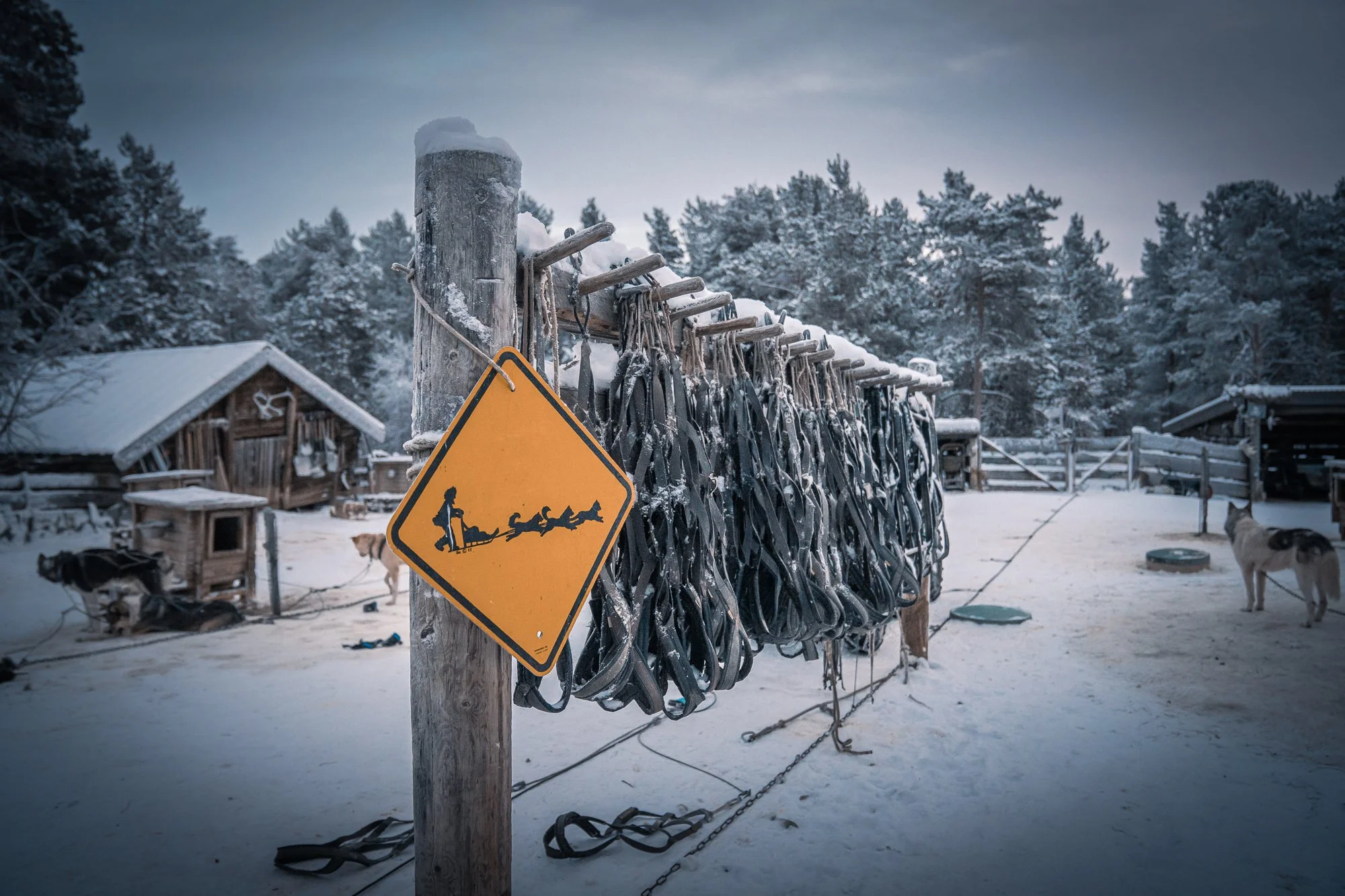 En trestolpe i et snødekt utendørsmiljø med flere truger hengende fra den. Et gult varselskilt med grafikk av en person som sklir og faller er festet til stolpen. I bakgrunnen er det trær dekket av snø, et par hundehus og en hund som står i nærheten av en vannskål.