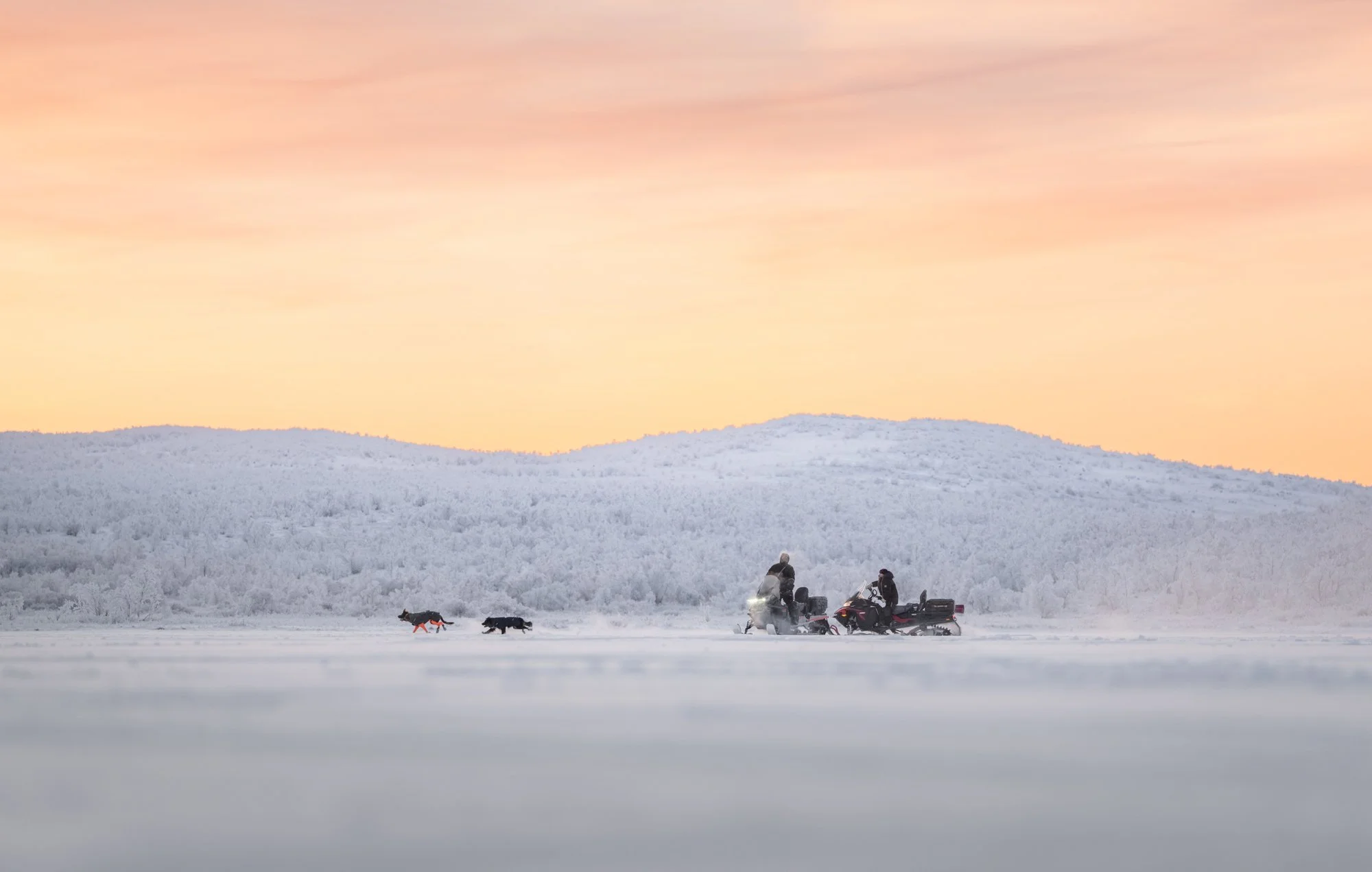 To snøscootere med førere og to hunder i snødekt terreng under solnedgang eller soloppgang, med en pastellfarget himmel og fjerne åser.