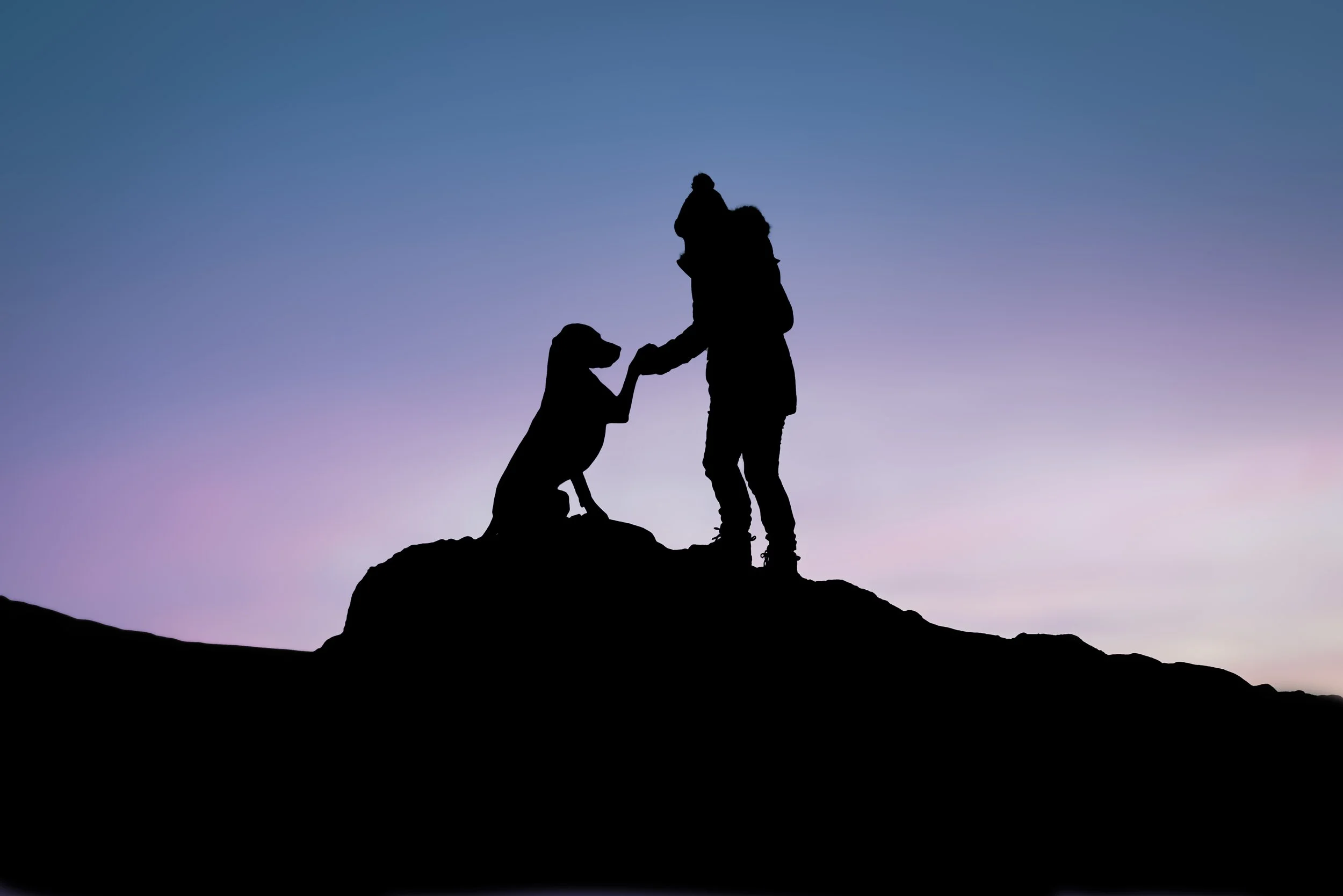 Wales silhouette 001.jpg