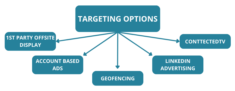 Audience Targeting Programs — The BTN Group