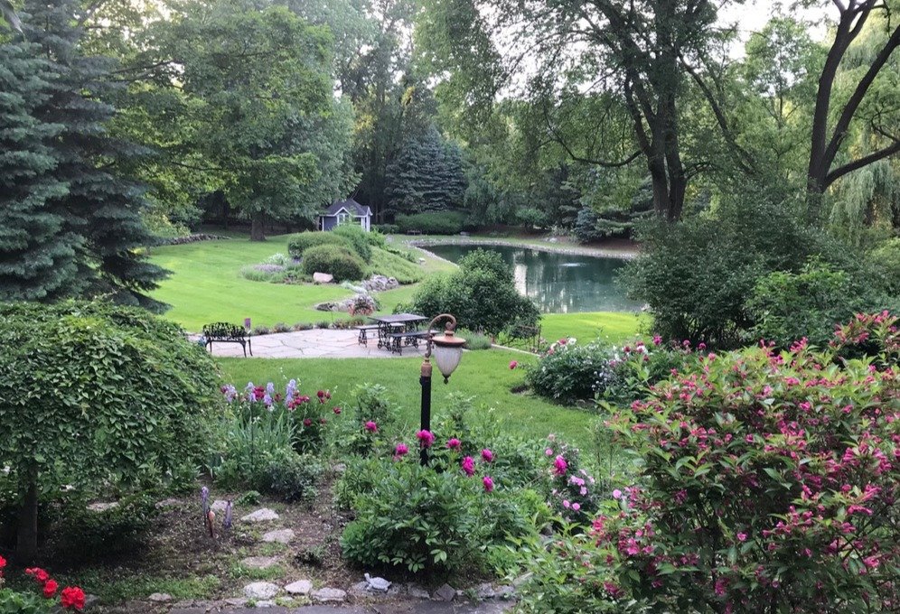 pond york township mi and webster township mi