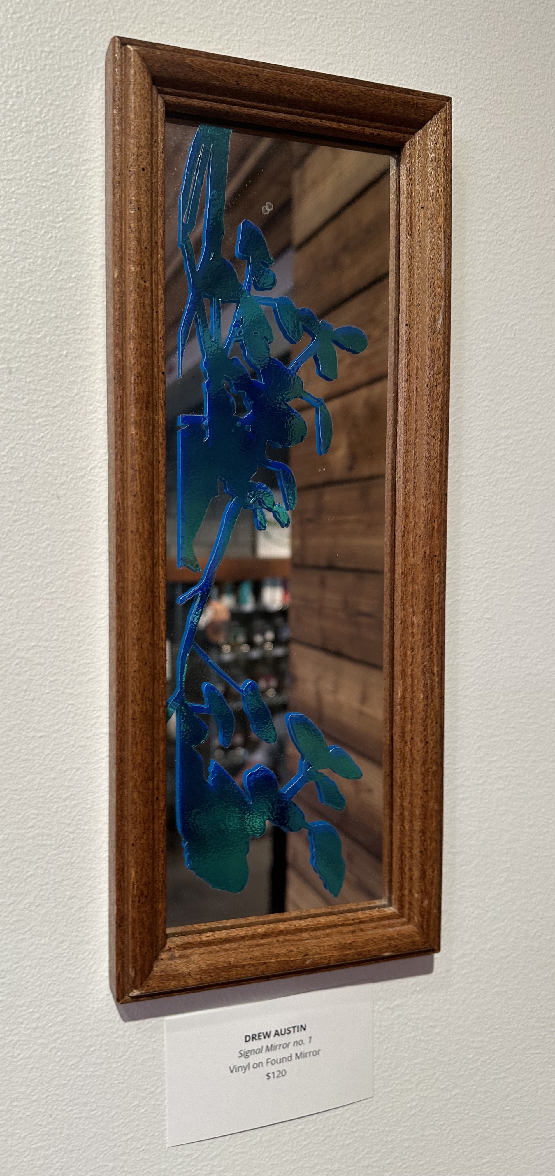 Signal Mirror no. 1 by Drew Austin