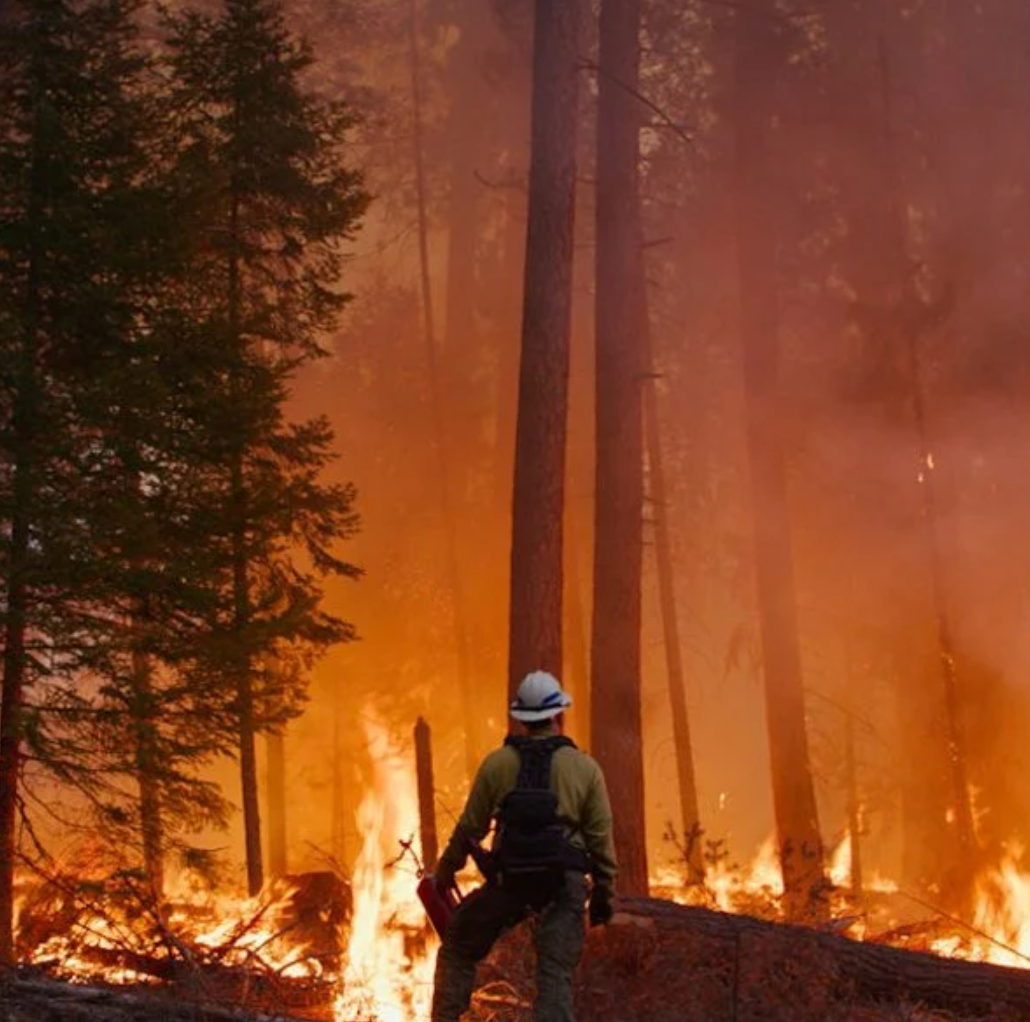 power of identity.png