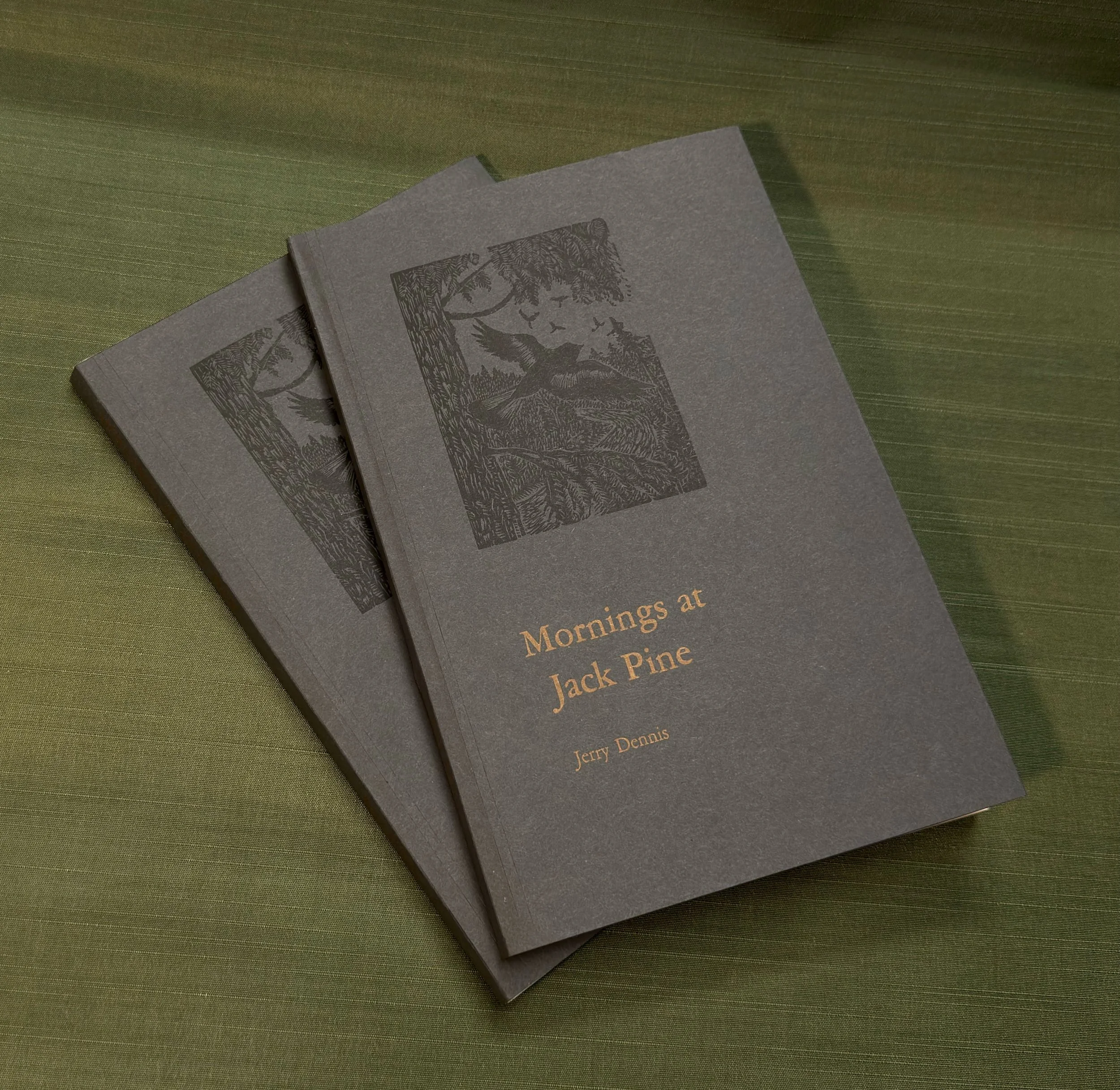 paperback2.jpeg
