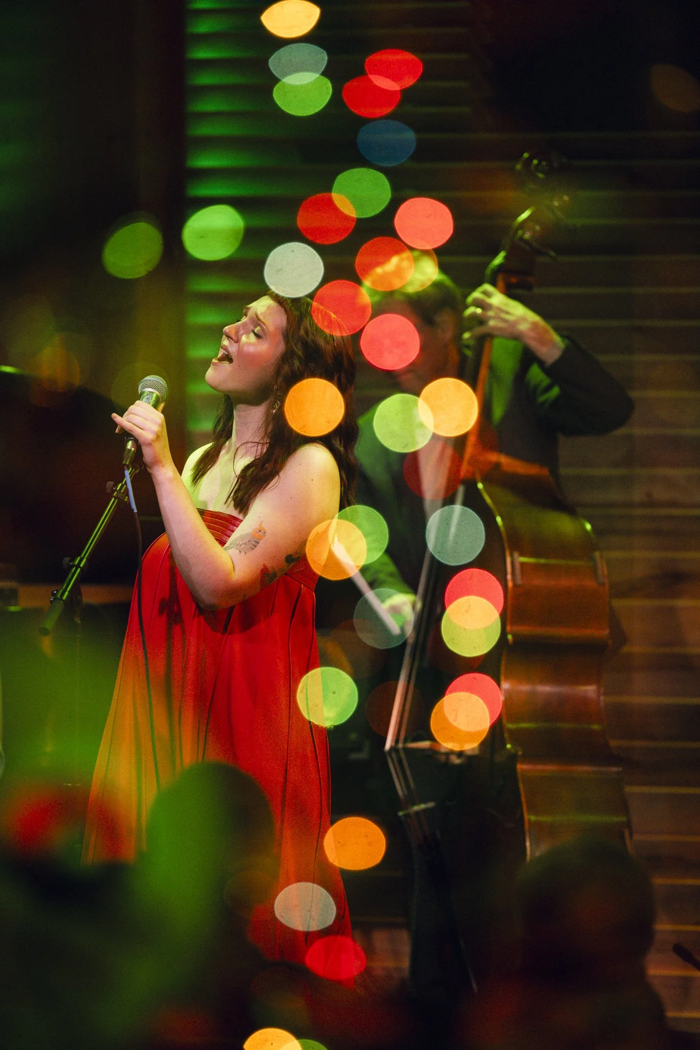 Alluvion Presents: Bob James &amp; DiSimone Family Holiday Show