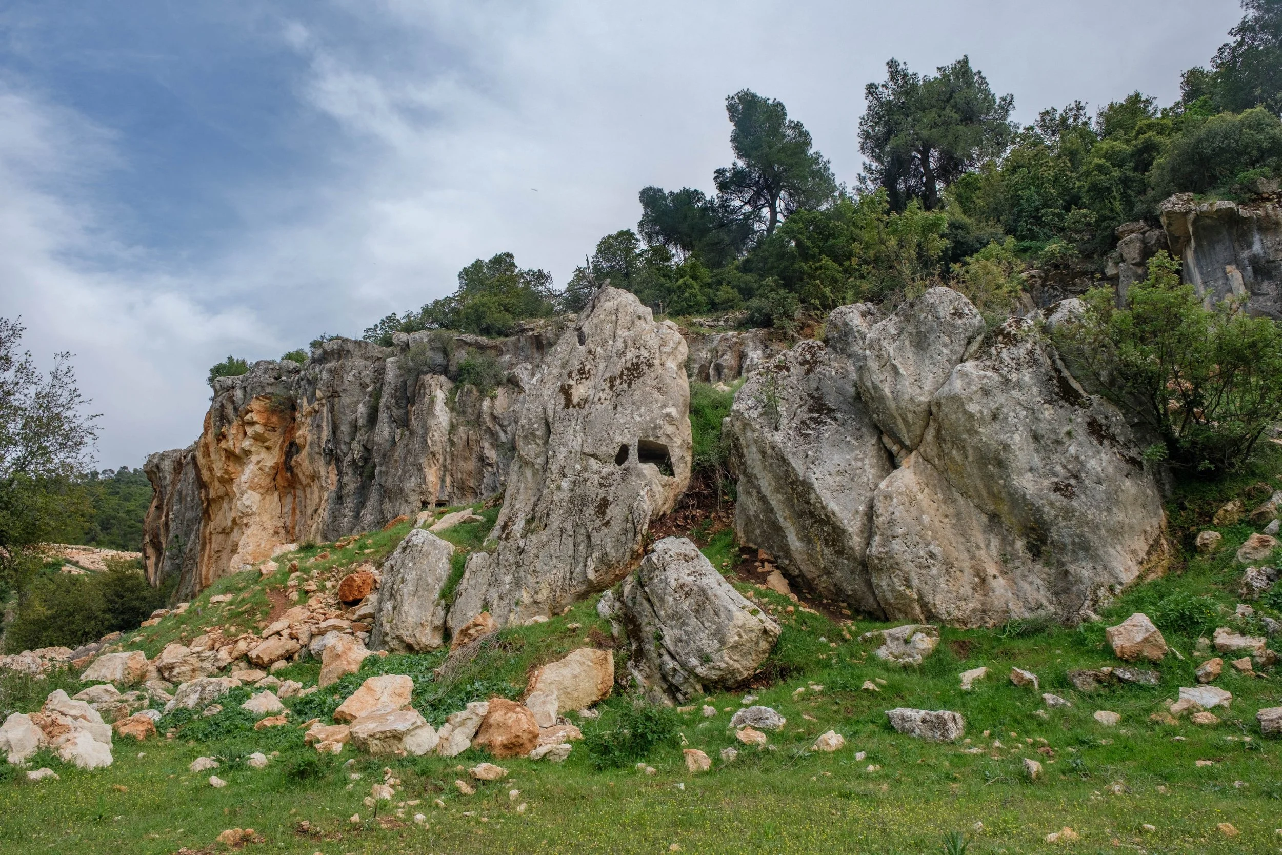 DSCF8076.jpg