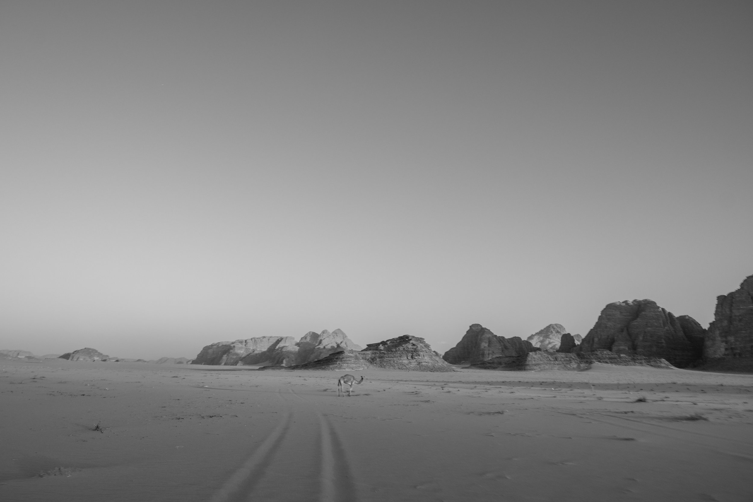 2022_08_Munther and Rosa in Jordan-20.jpg